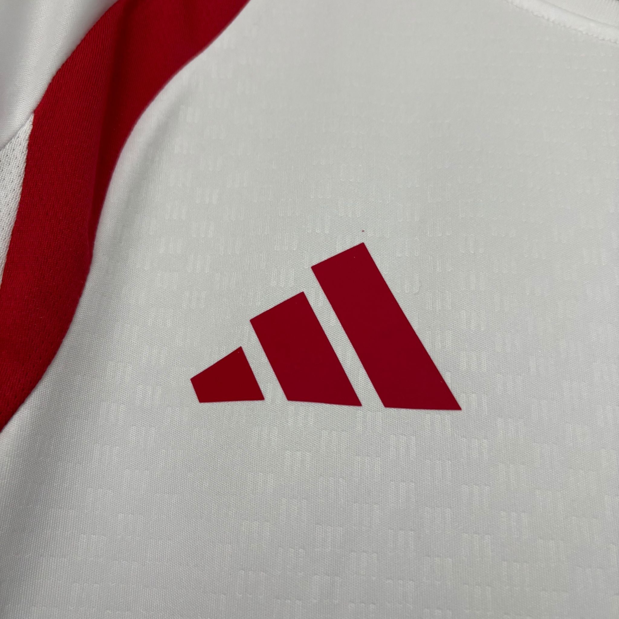 Jersey Internacional Training II 26/27 Fan