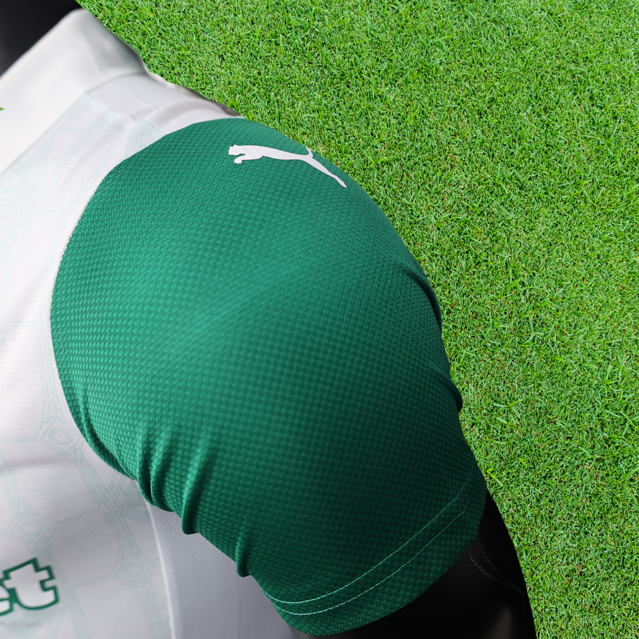 Jersey Palmeiras II 25/26 Player