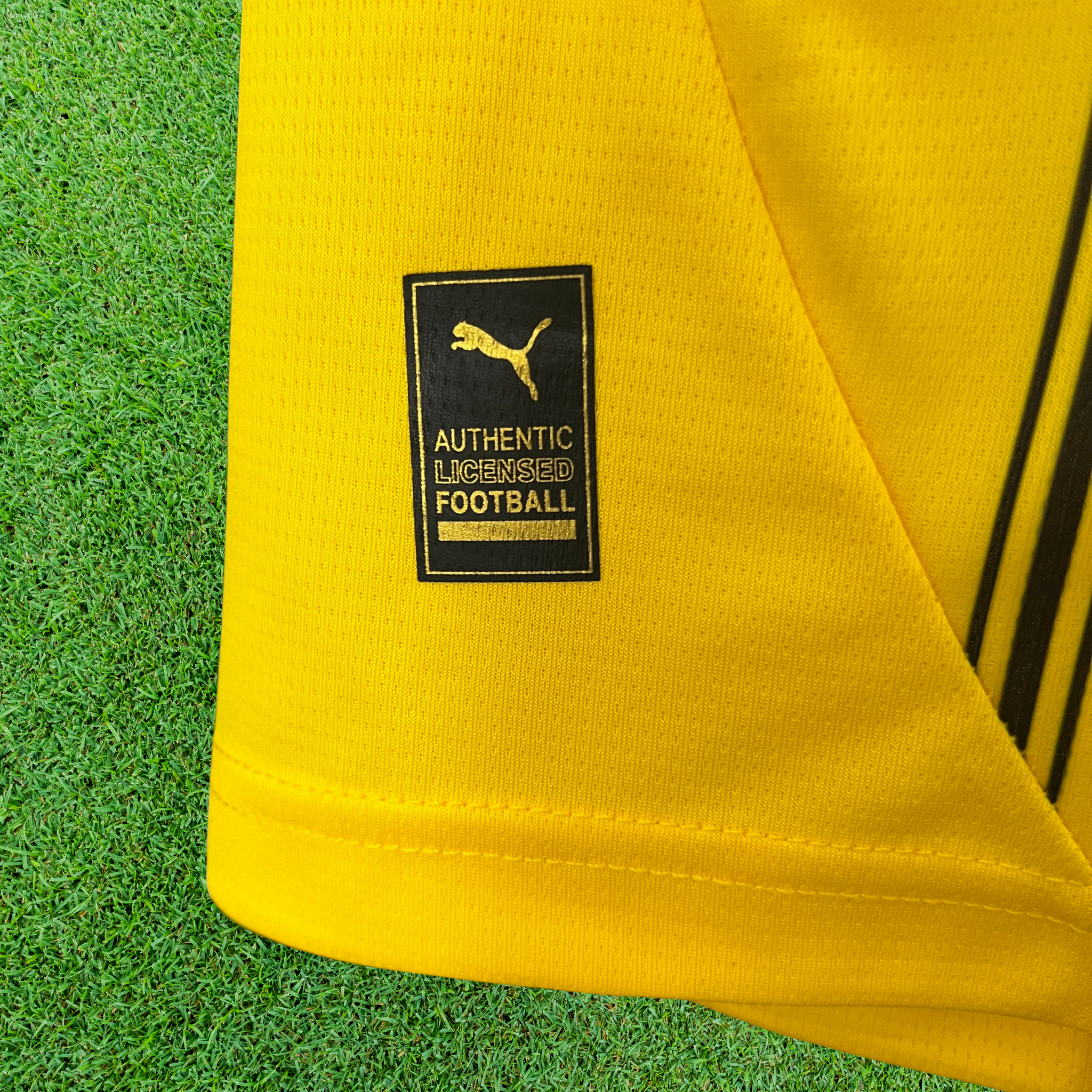 Jersey Borussia Dortmund I 24/25 Fan