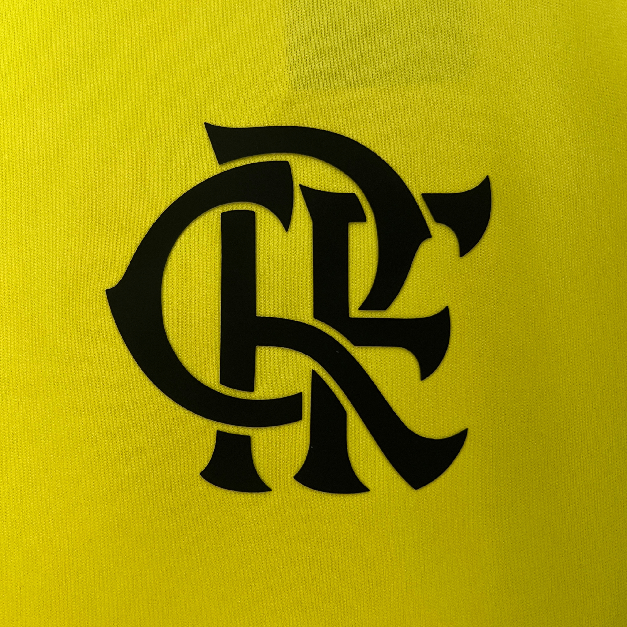 Jersey Flamengo Training I 24/25 Fan