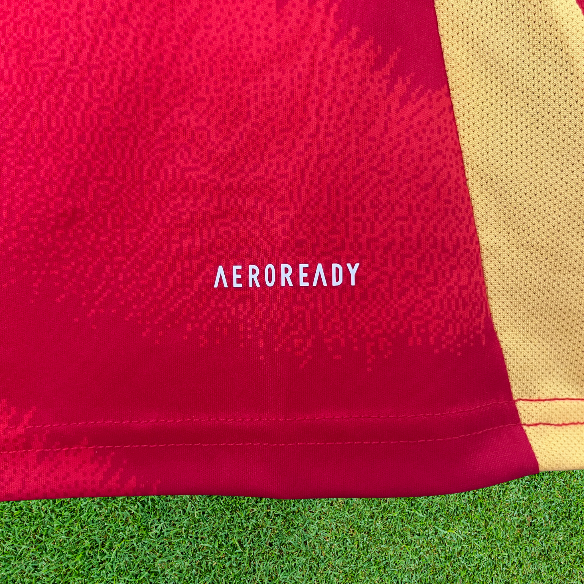 Jersey Spain I 24/25 Fan