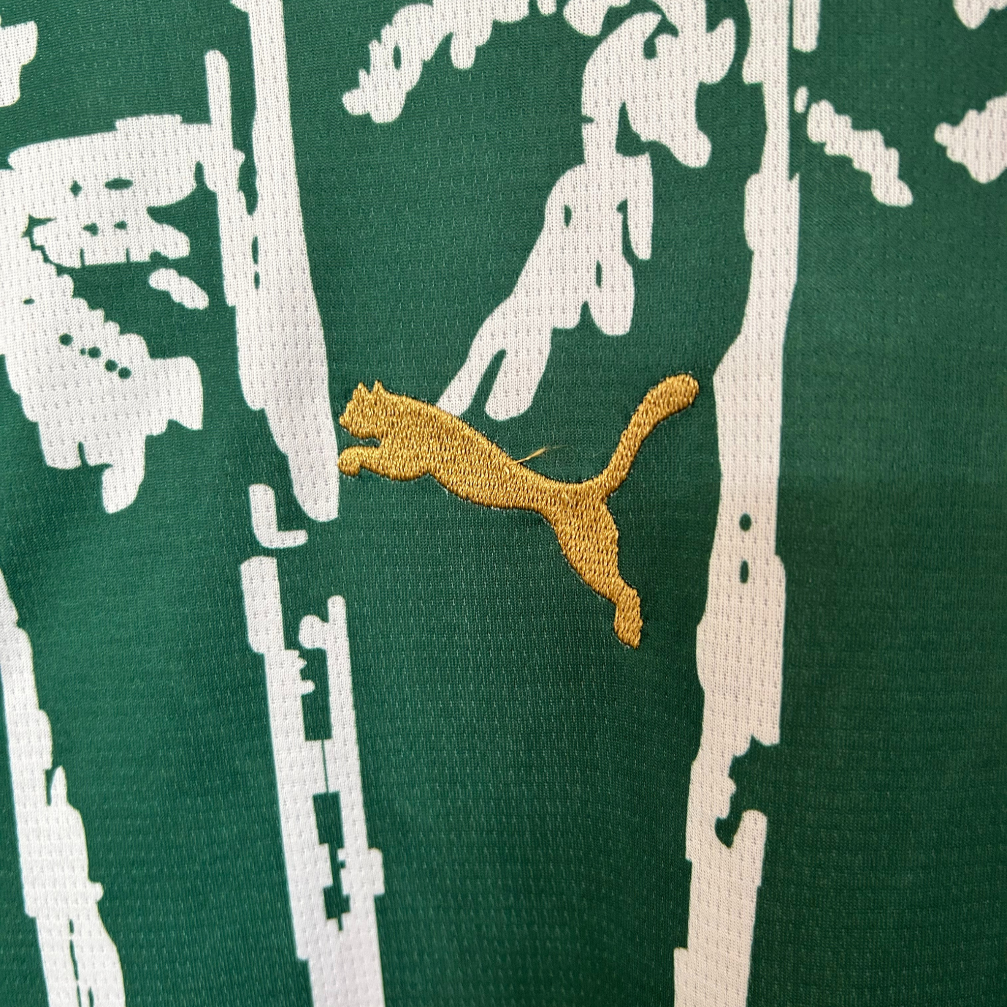 Jersey Palmeiras Special Edition Mundial De Clubes 25/26 Fan