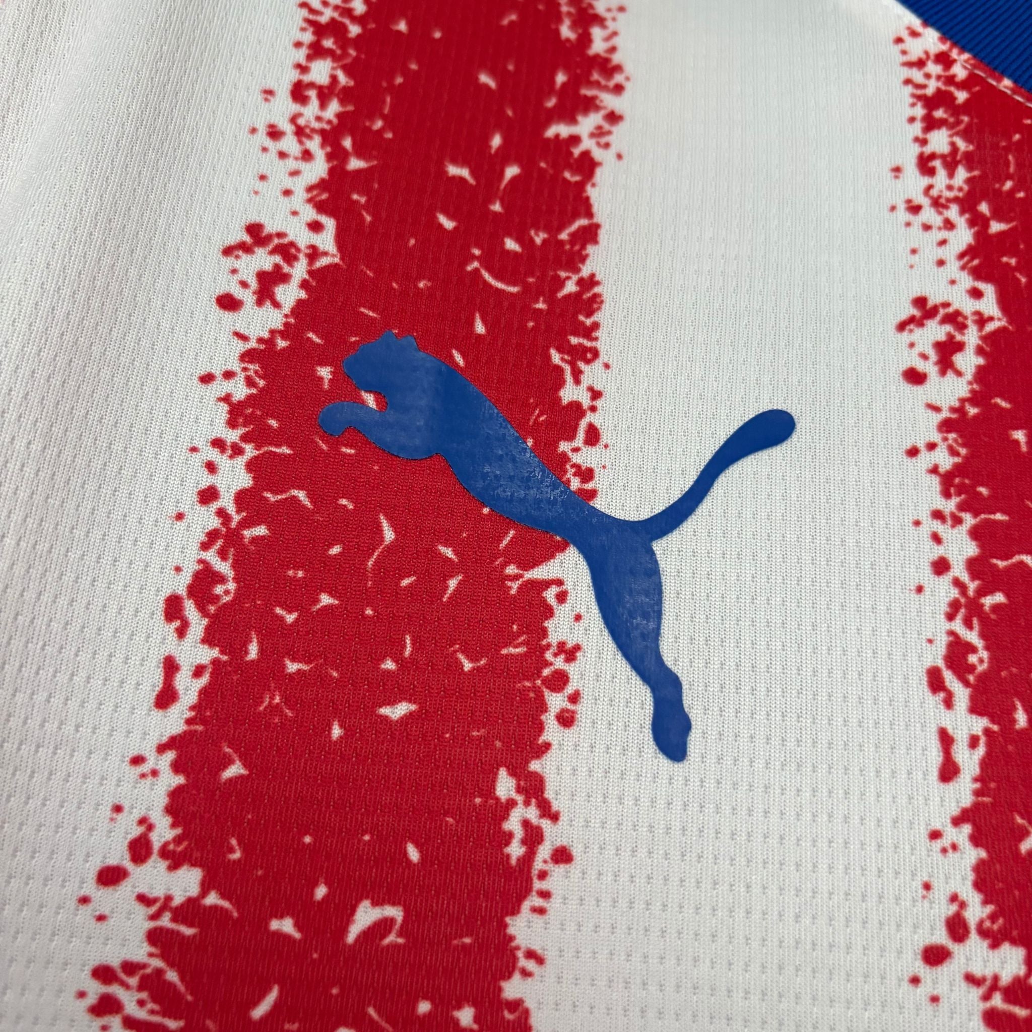 Jersey Paraguay I 2026 Fan