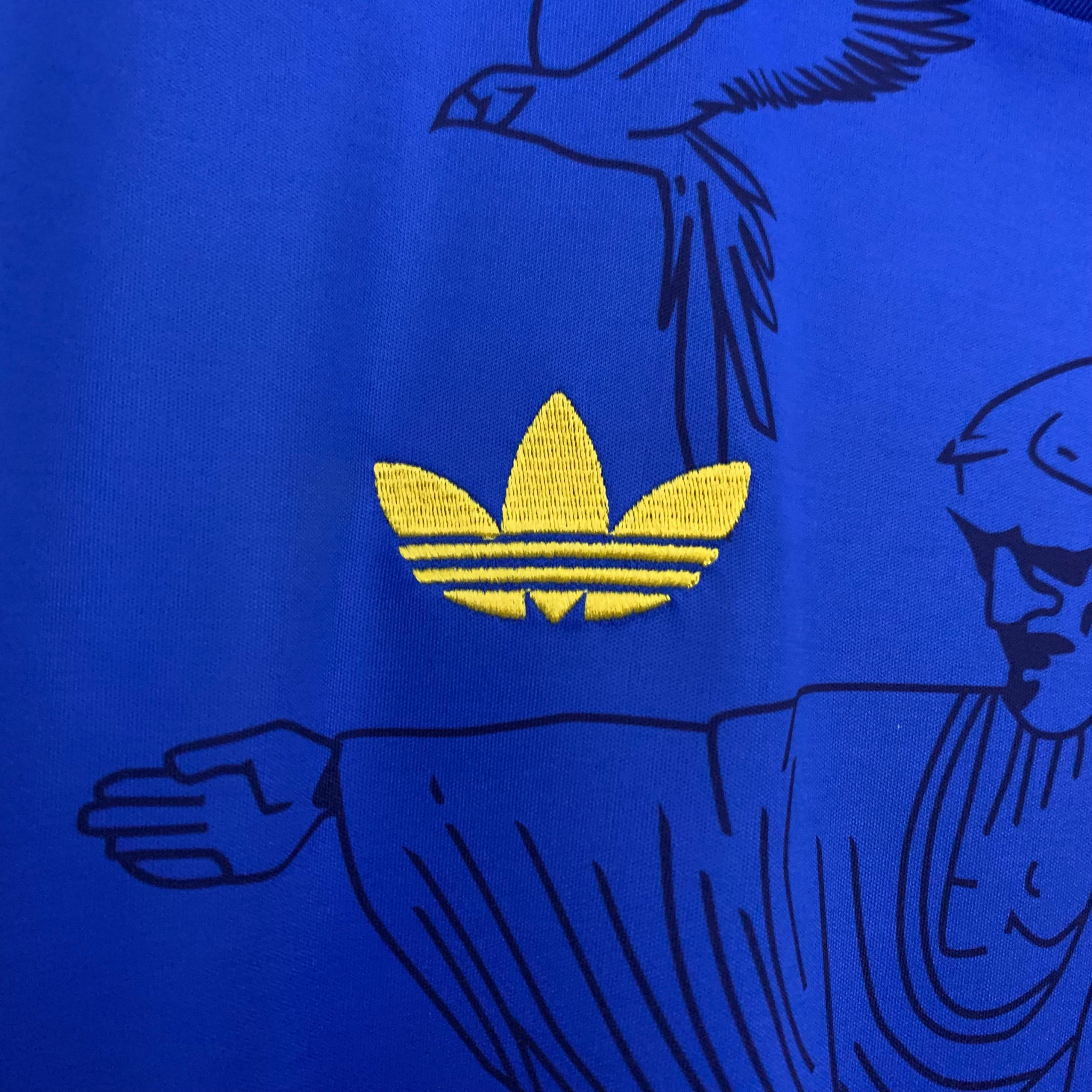 Jersey Brazil Special Edition 2025 Fan
