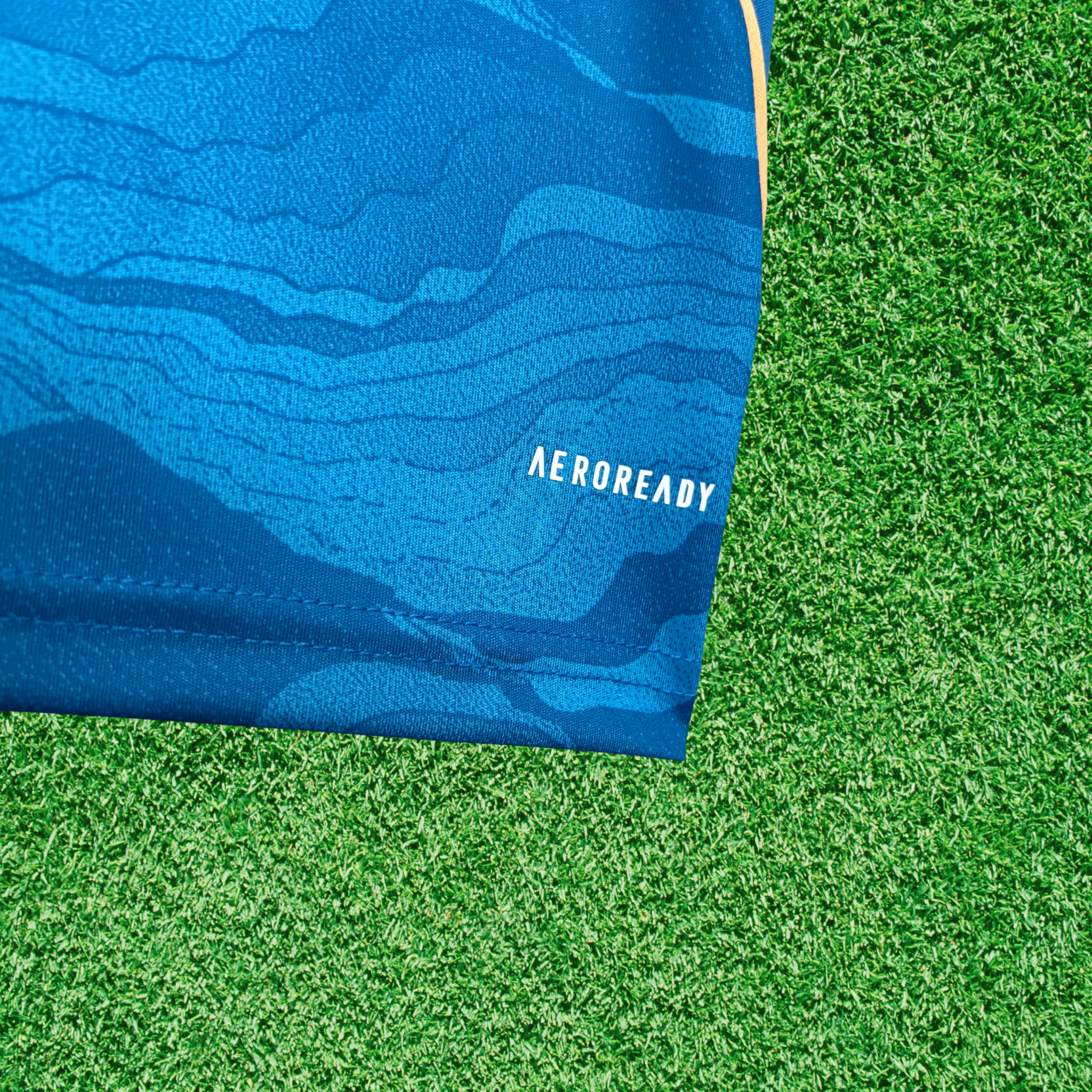 Jersey Cruzeiro III 25/26 Fan