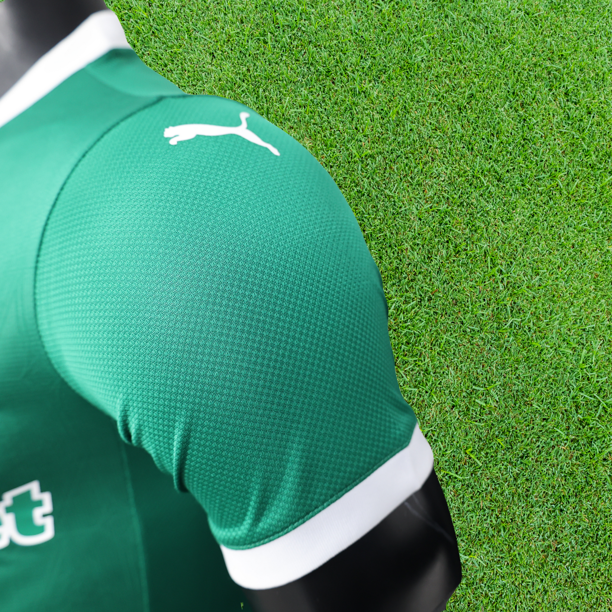 Jersey Palmeiras I 25/26 Player