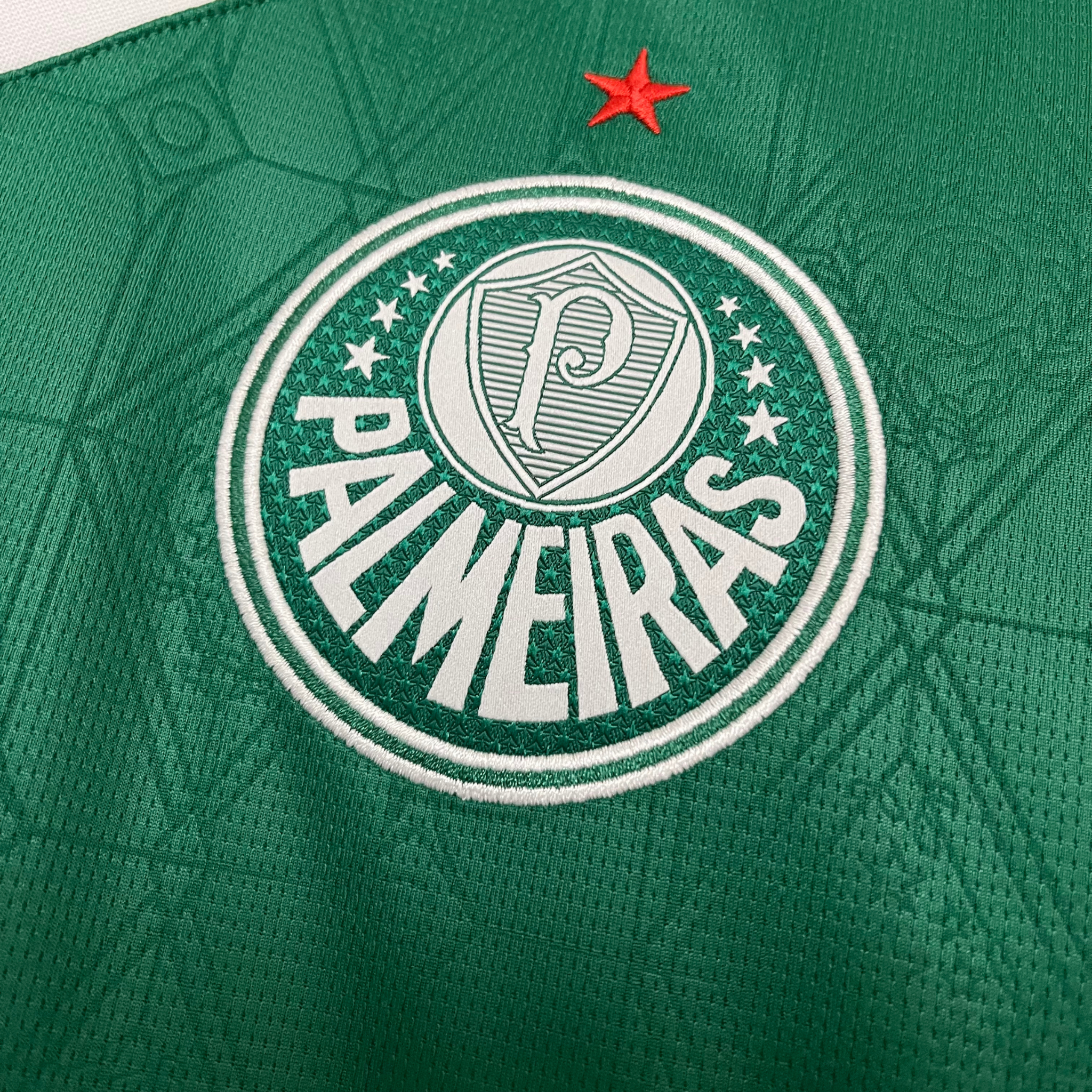 Jersey Palmeiras I 25/26 Fan