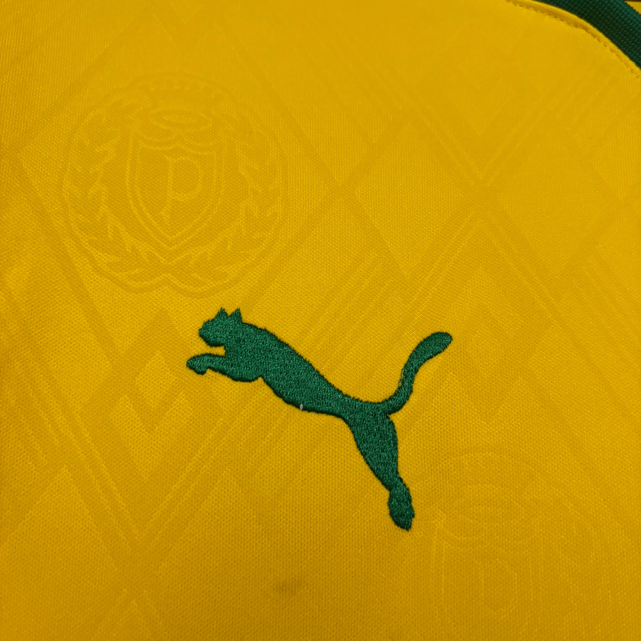 Jersey Palmeiras III 25/26 Fan
