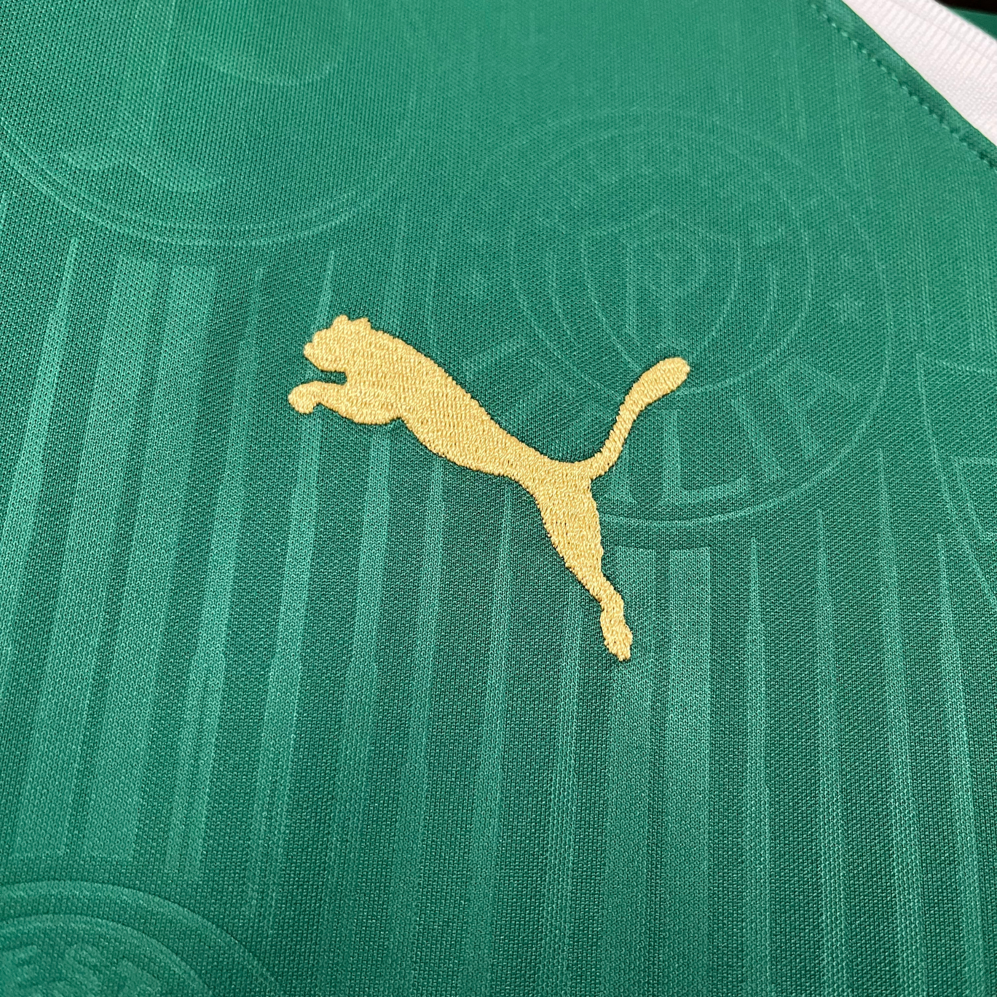 Jersey Palmeiras I 24/25 Fan