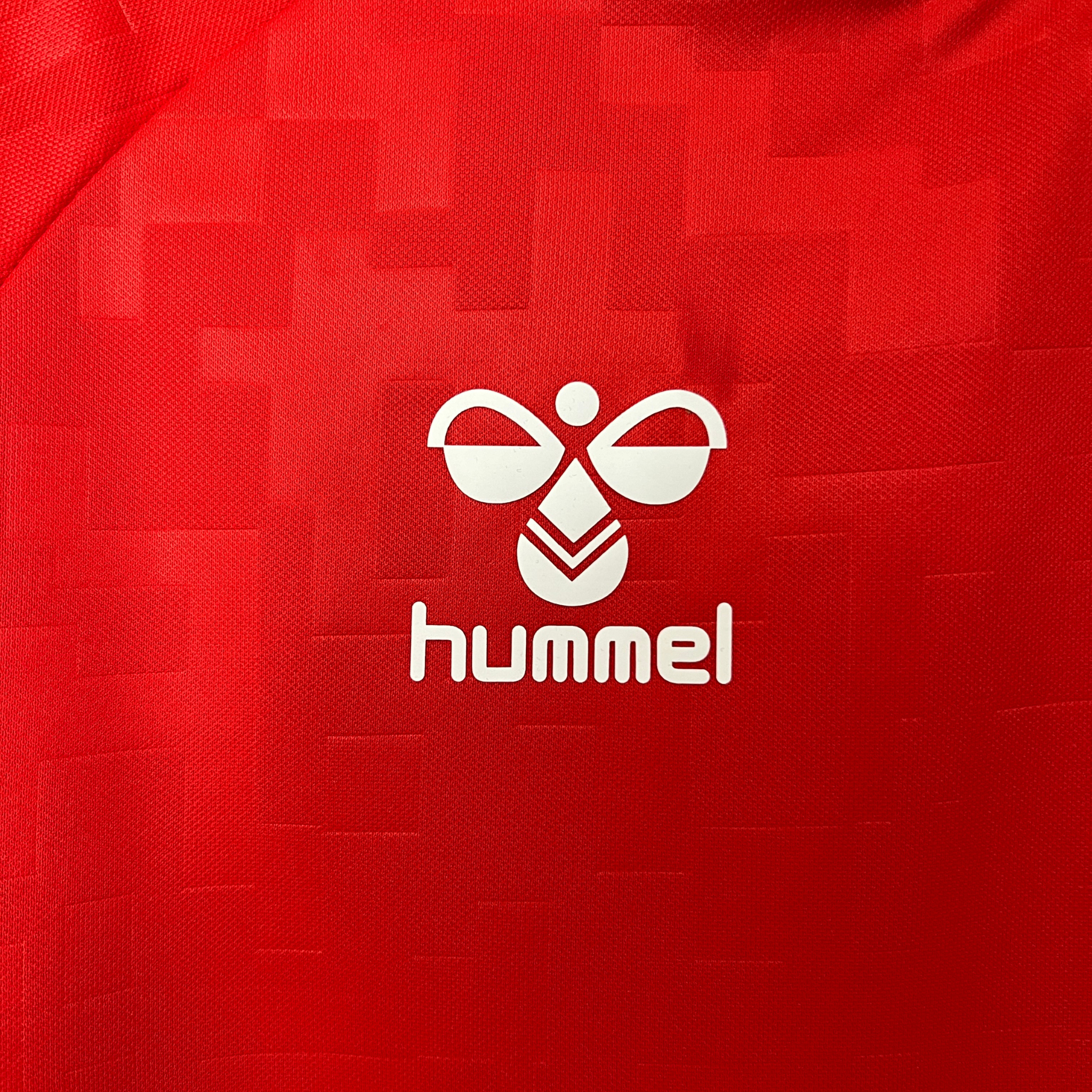 Jersey Denmark I 2024 Fan