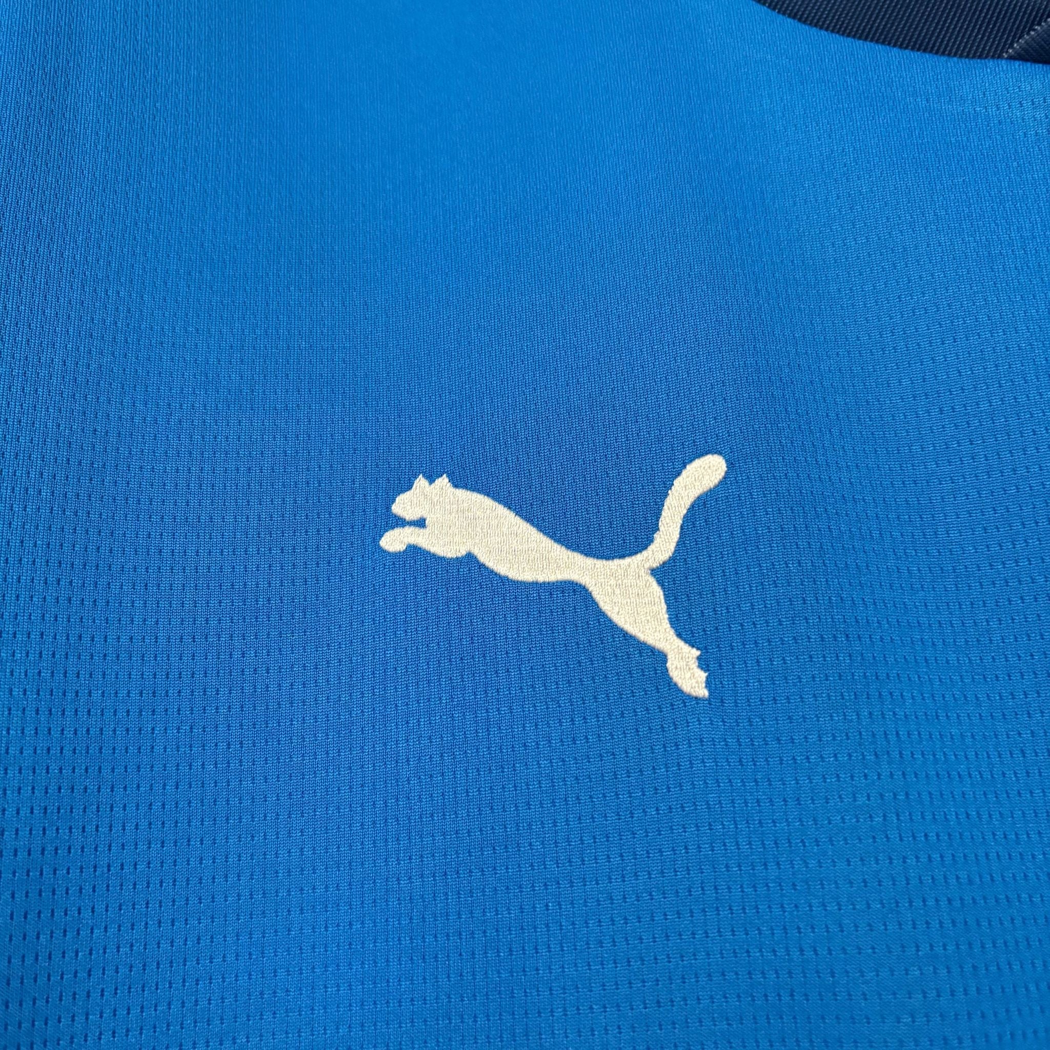 Jersey Iceland I 2026 Fan
