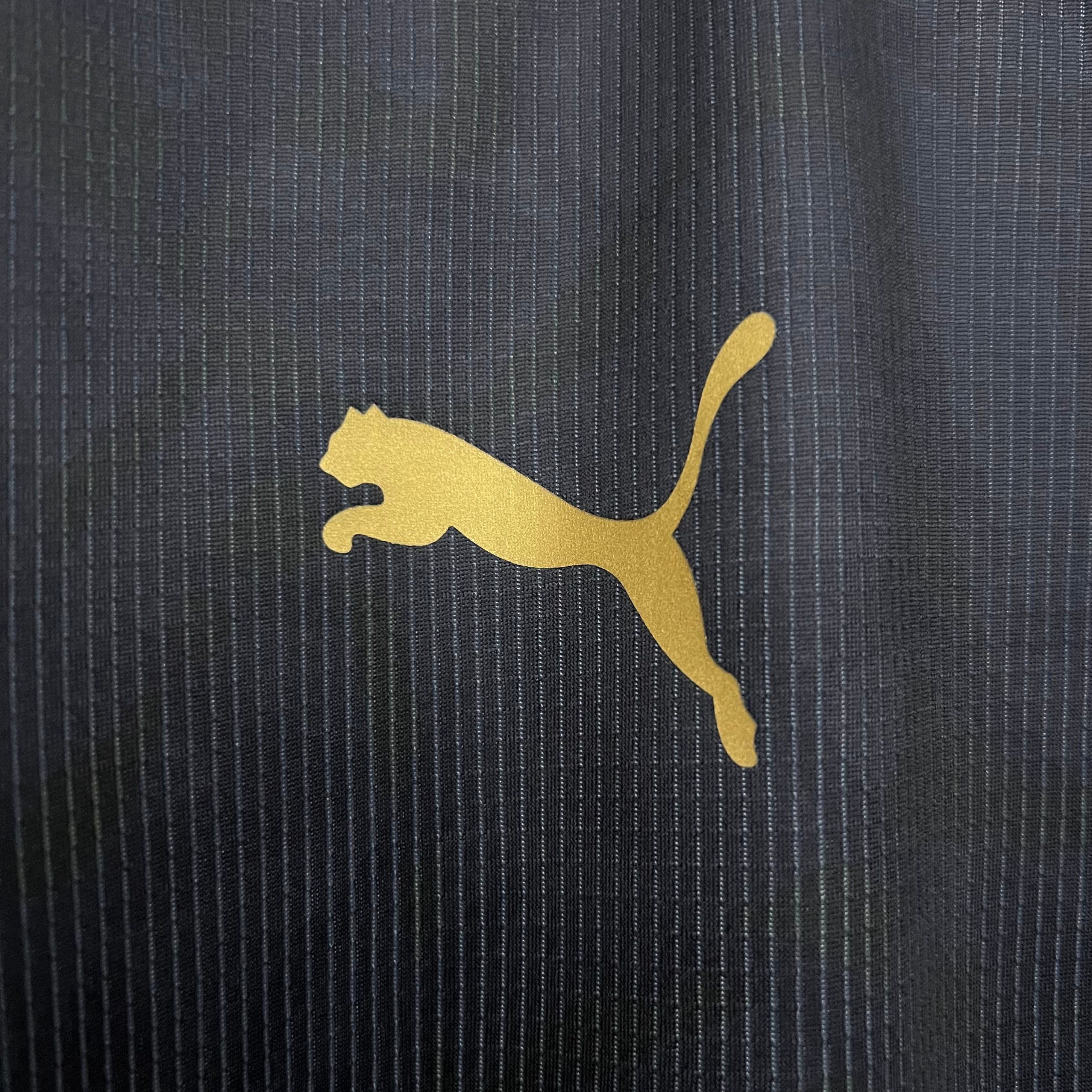 Jersey CA Peñarol II 25/26 Fan