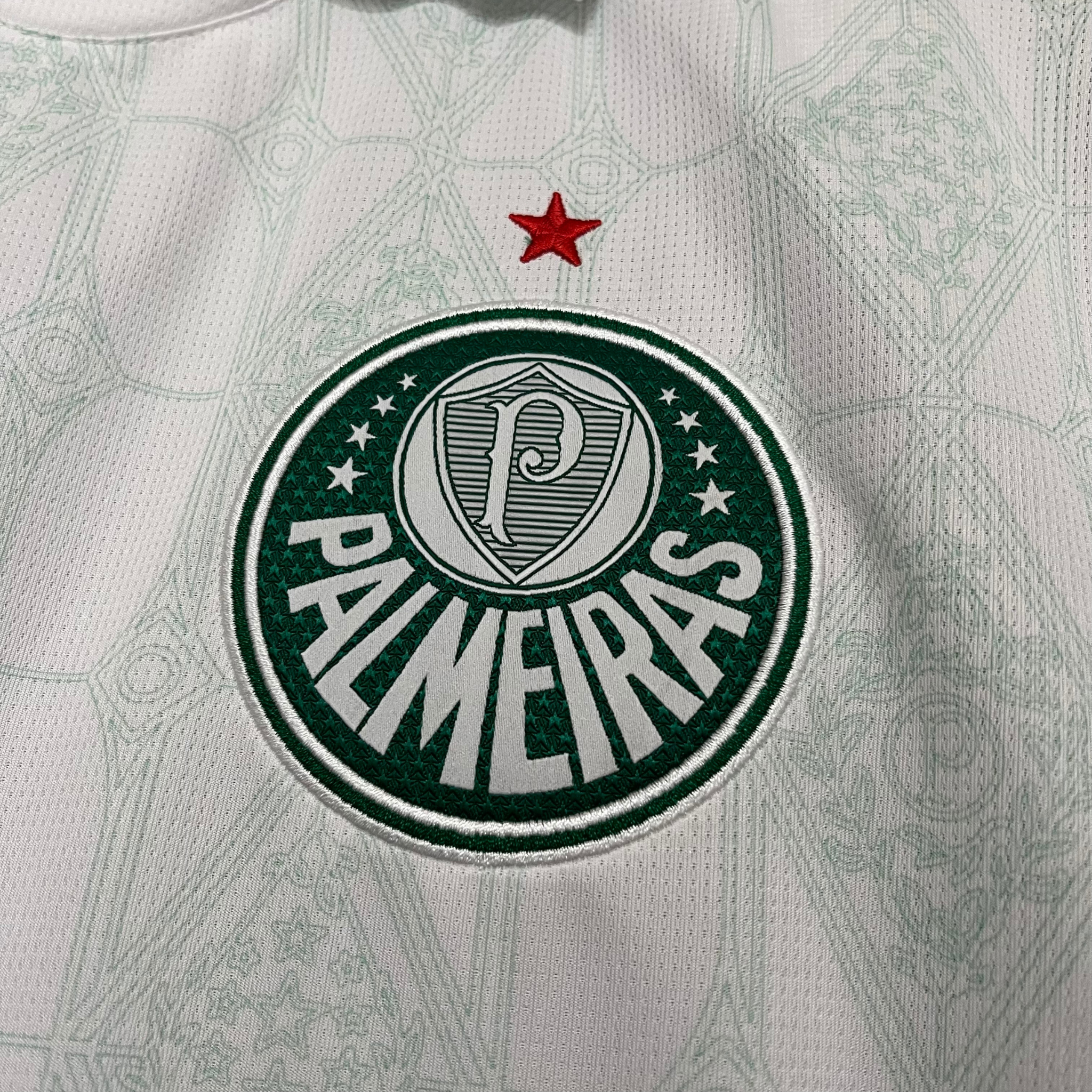 Jersey Palmeiras II 25/26 Fan