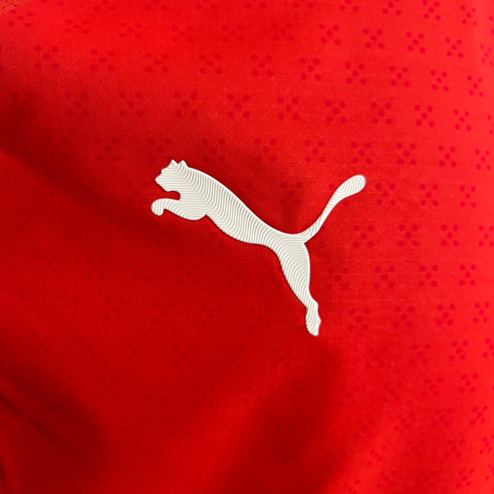 Jersey Portugal I 2025 Player
