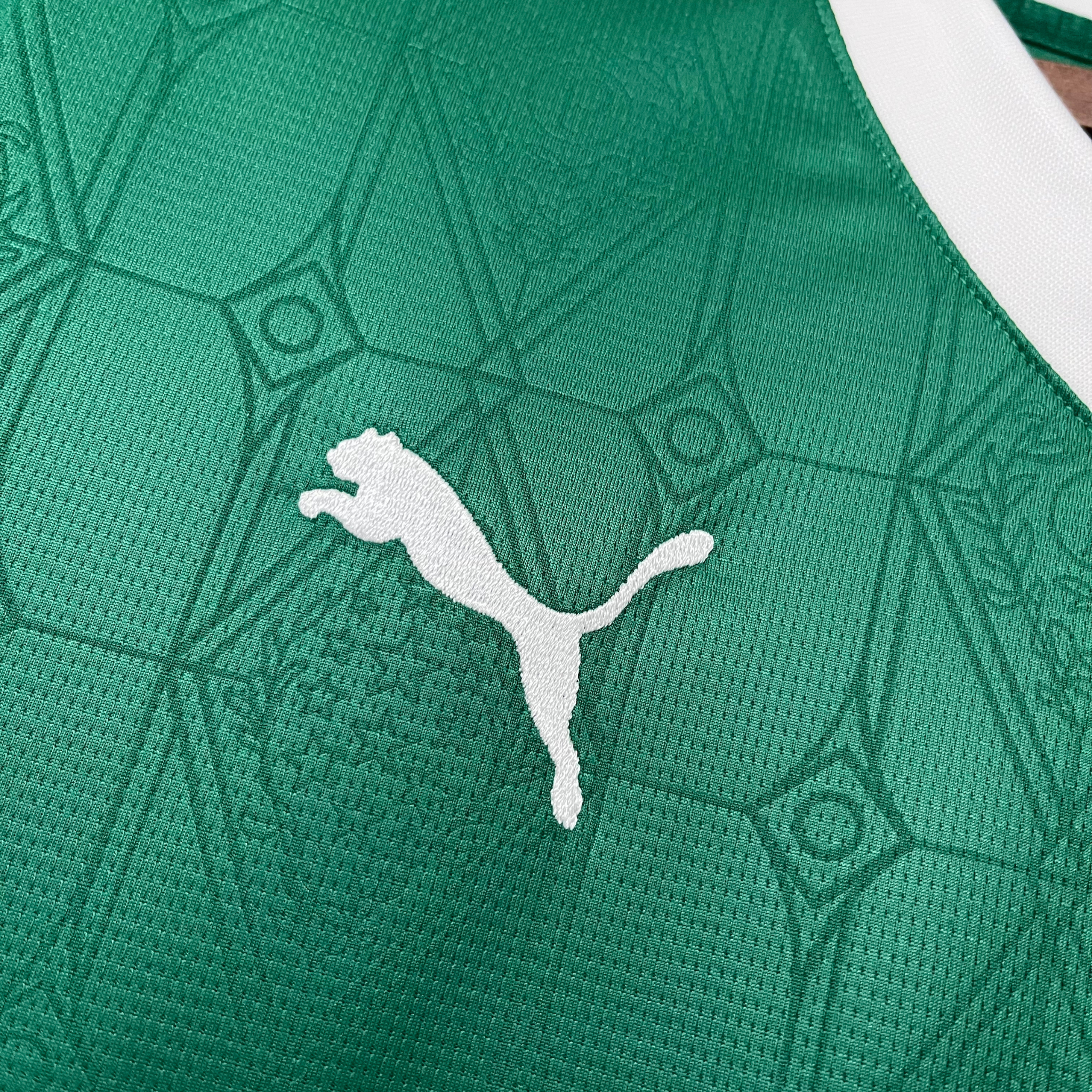 Jersey Palmeiras I 25/26 Fan
