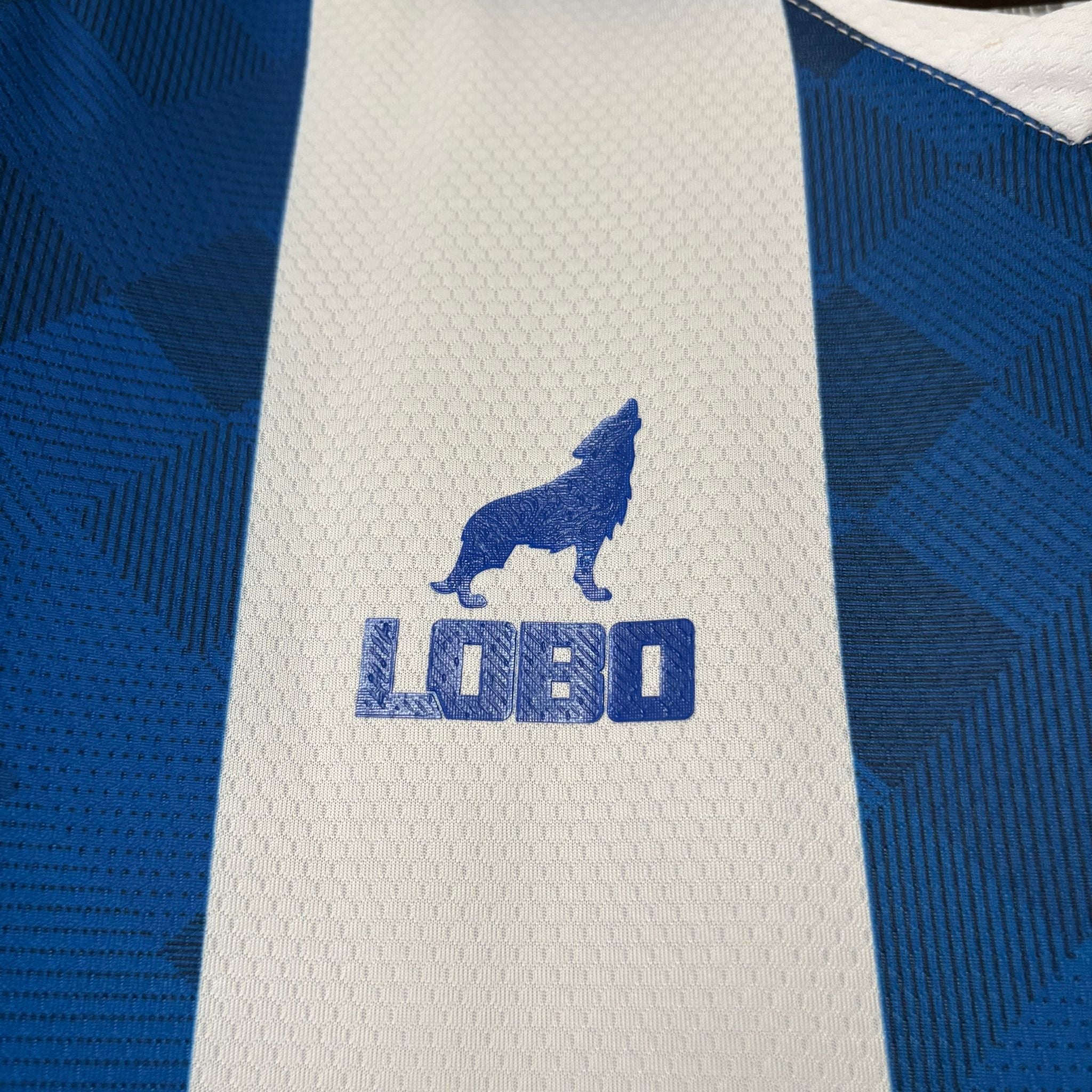 Jersey Paysandu I 26/27 Fan