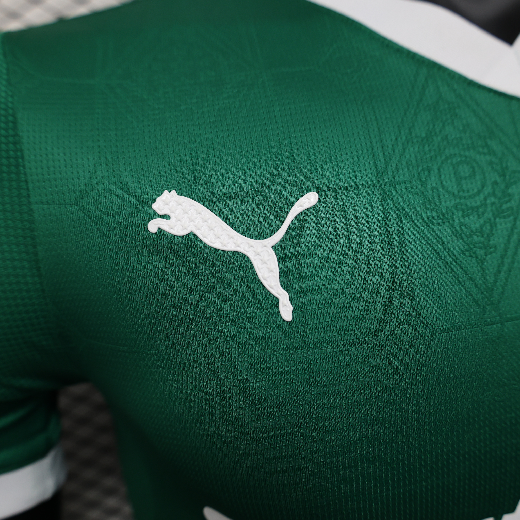 Jersey Palmeiras I 25/26 Player