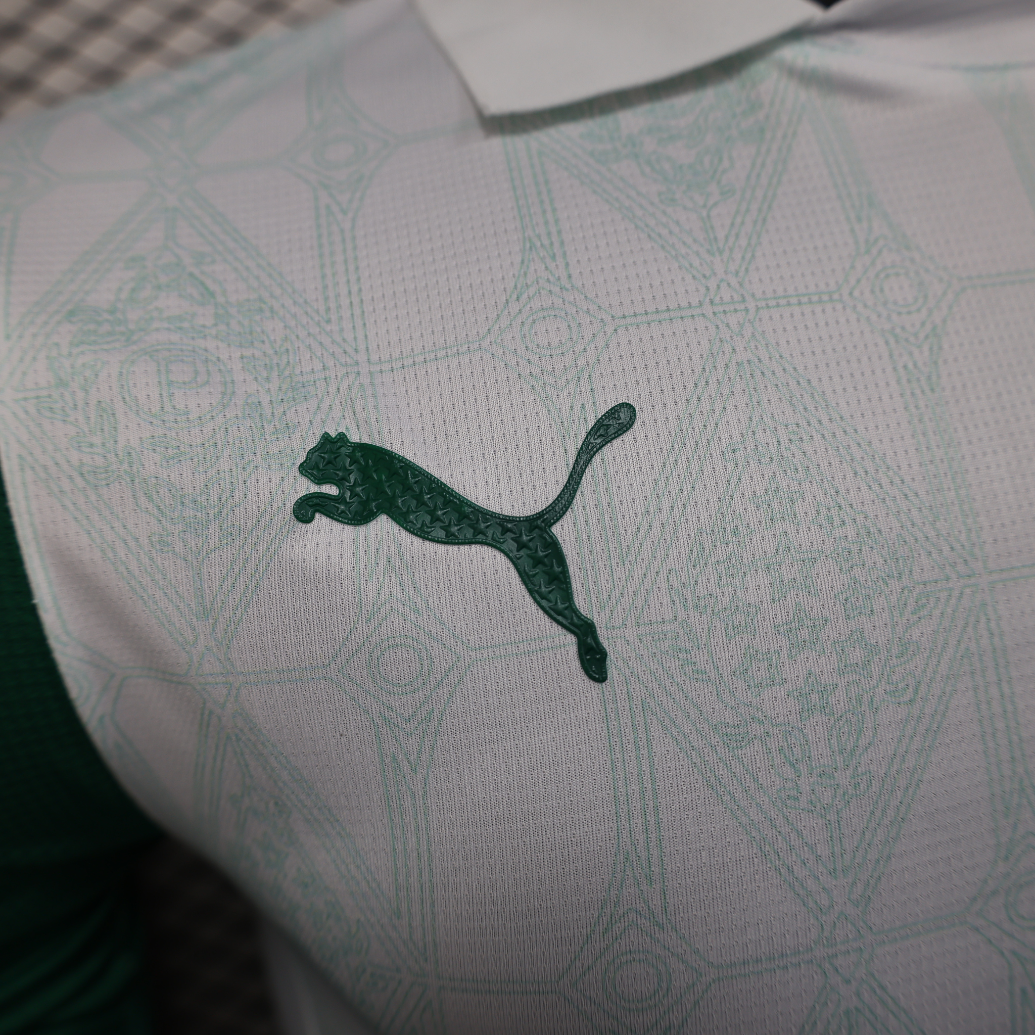 Jersey Palmeiras II 25/26 Player