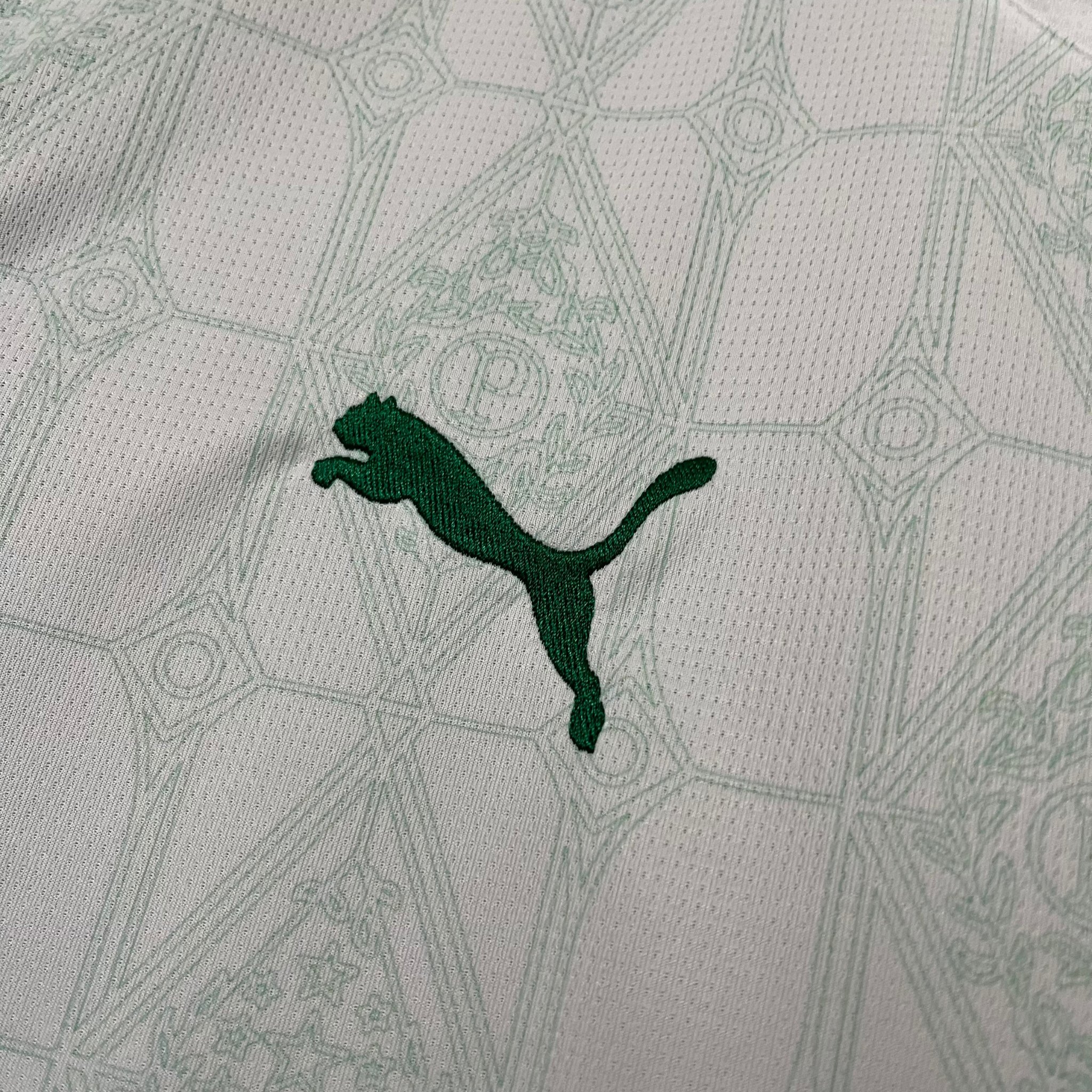 Jersey Palmeiras II 25/26 Fan