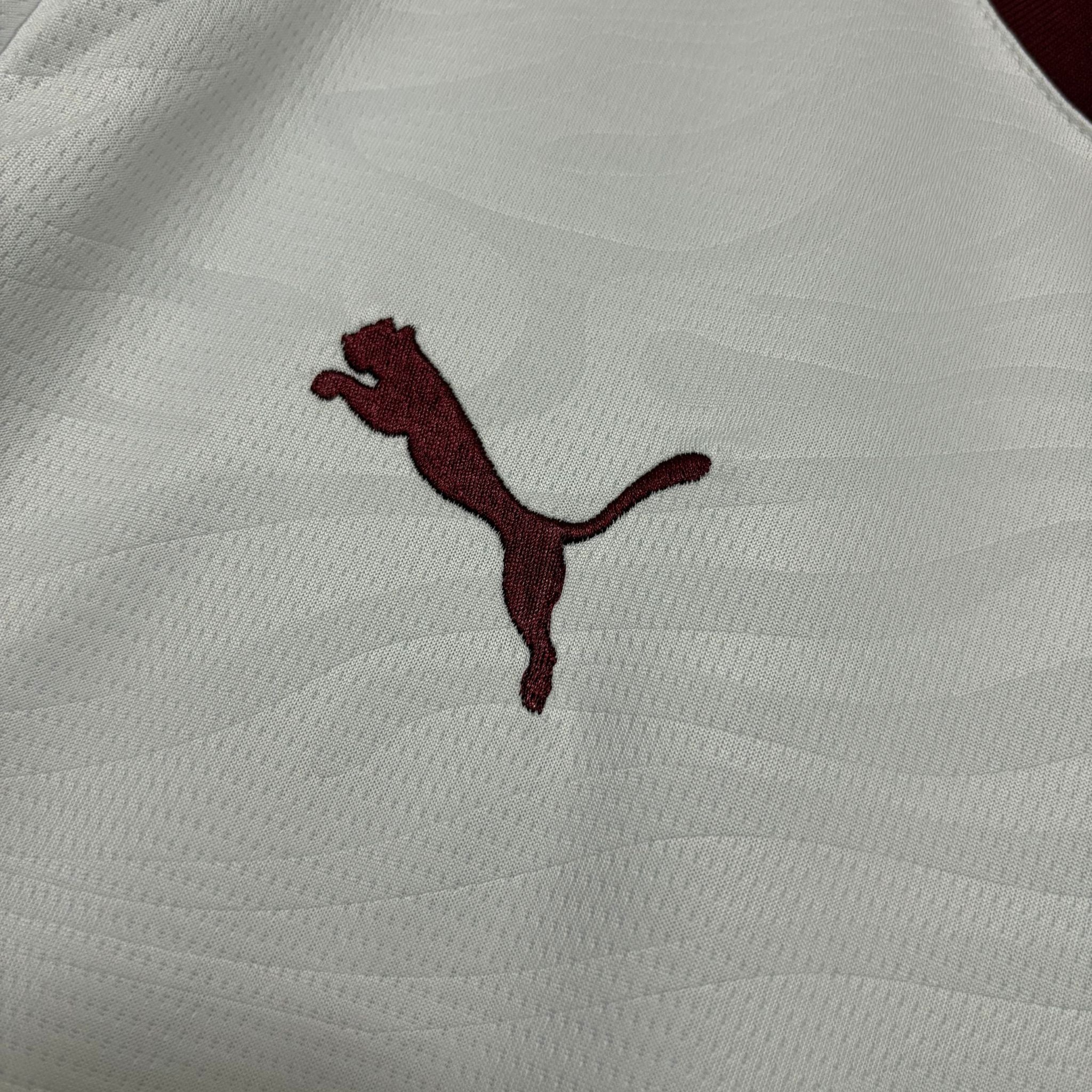 Jersey Fluminense II 26/27 Fan