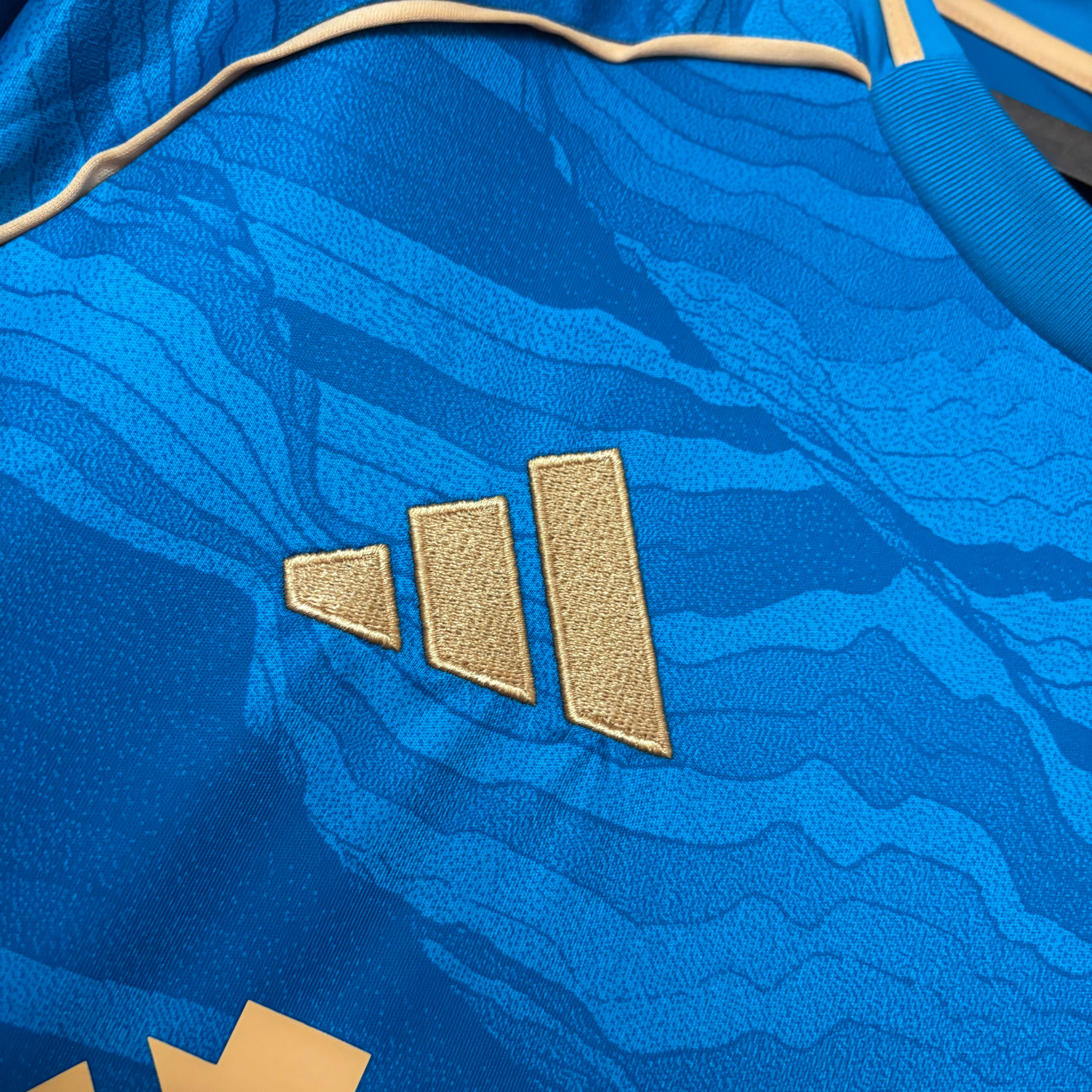 Jersey Cruzeiro III 25/26 Fan