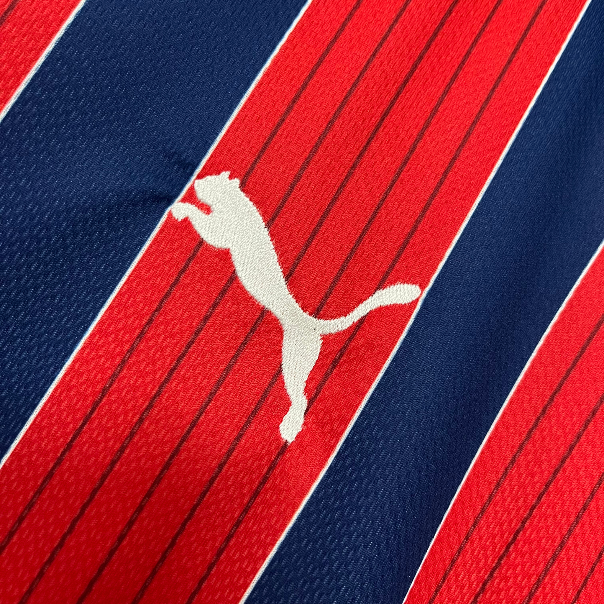 Jersey Bahia II 25/26 Fan
