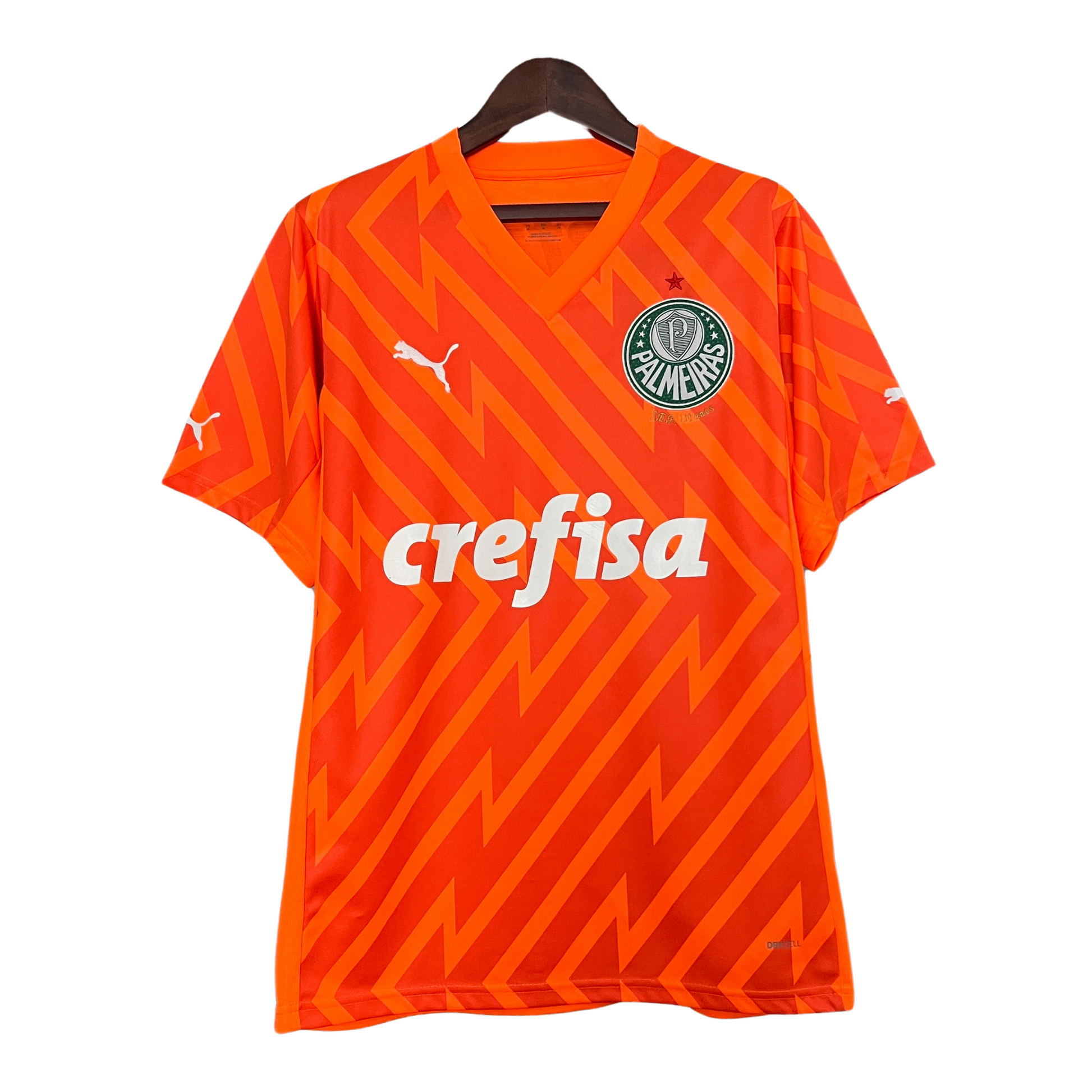 Camisa Palmeiras Goleiro 24/25 Torcedor