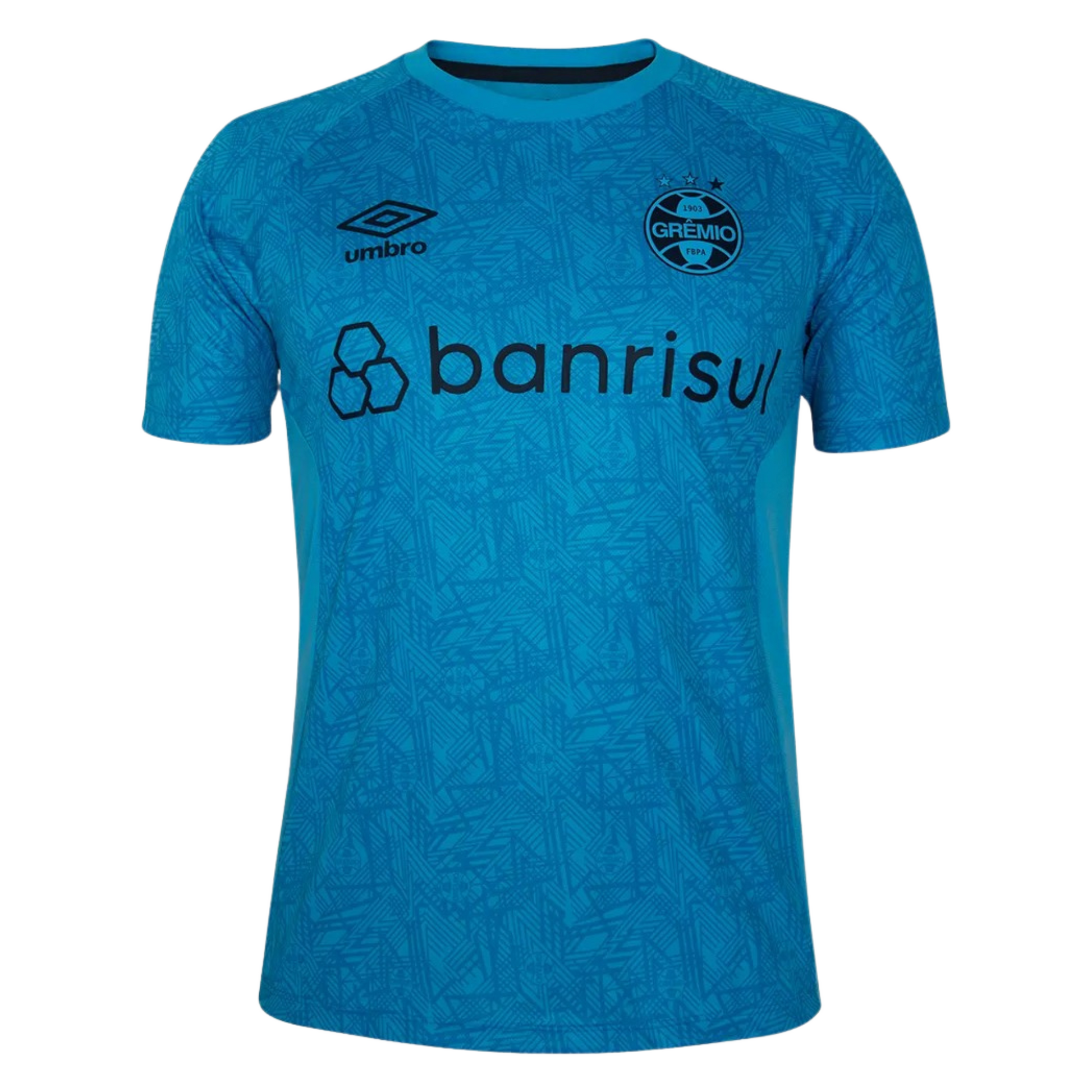 Camisa Grêmio Treino 24/25 Torcedor