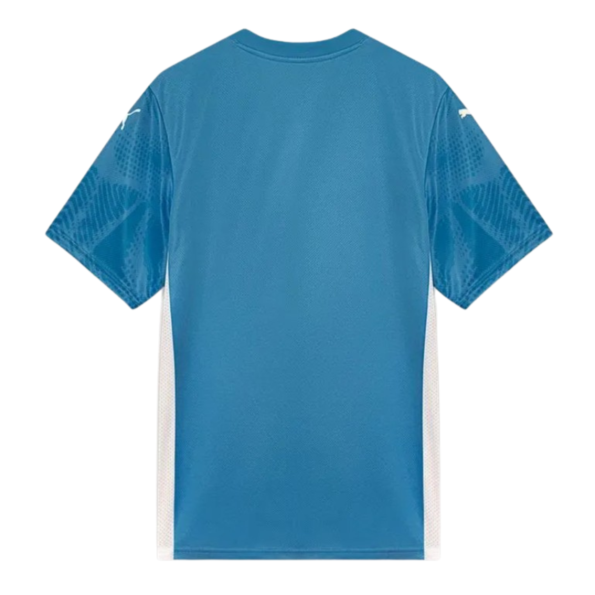 Jersey Palmeiras Goalkeeper I 25/26 Fan