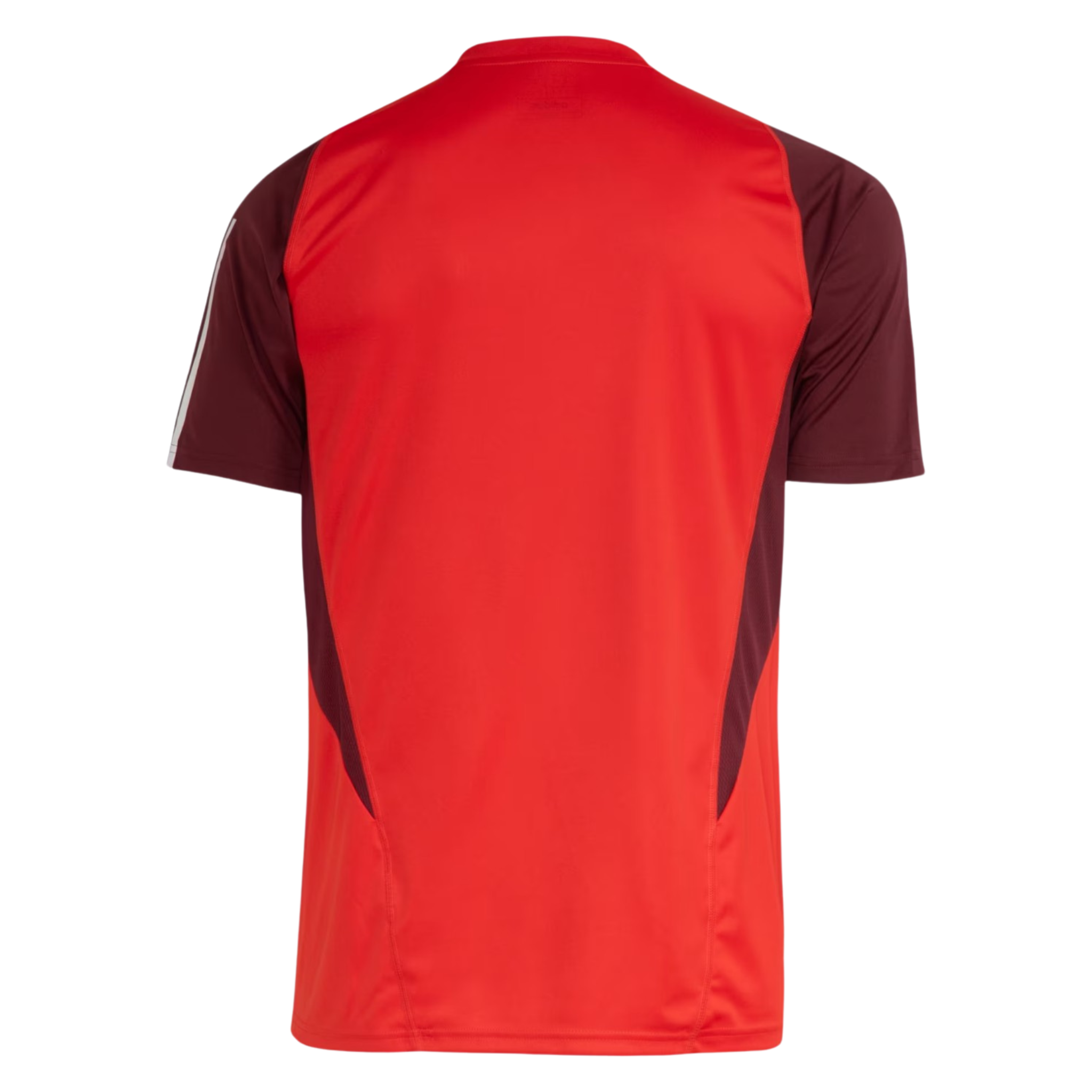 Jersey Internacional Training 24/25 Fan