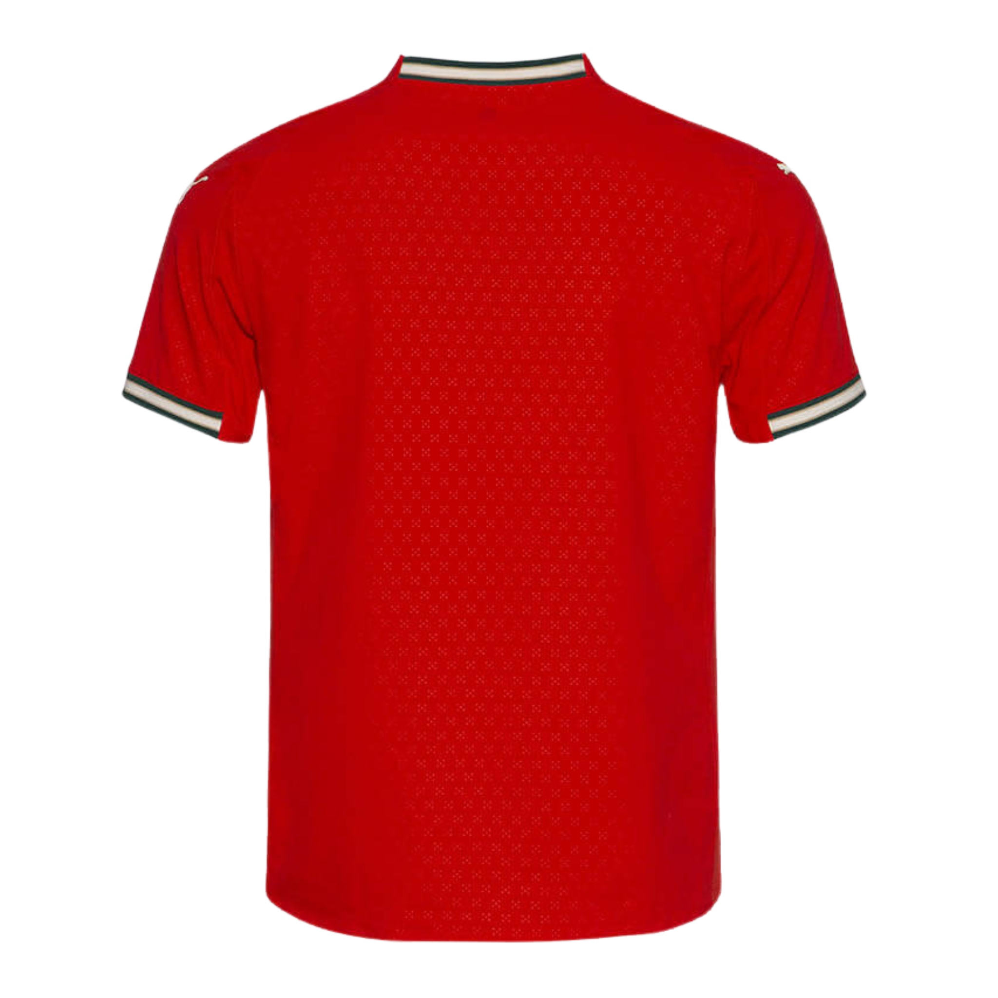 Jersey Portugal I 2025 Fan
