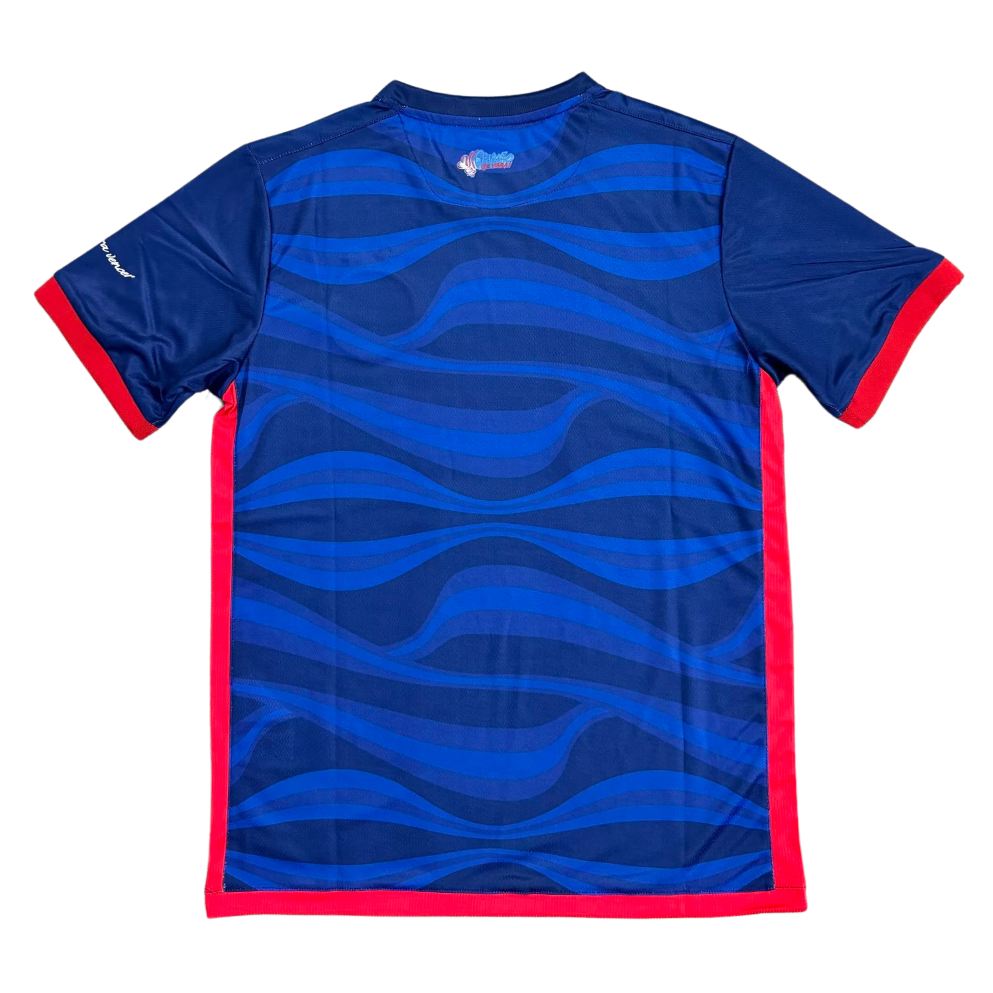 Jersey Bahia III 24/25 Fan