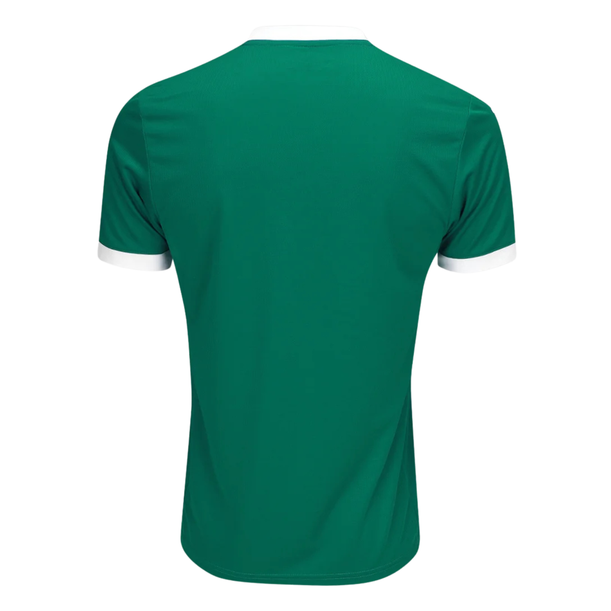 Jersey Palmeiras I 25/26 Fan