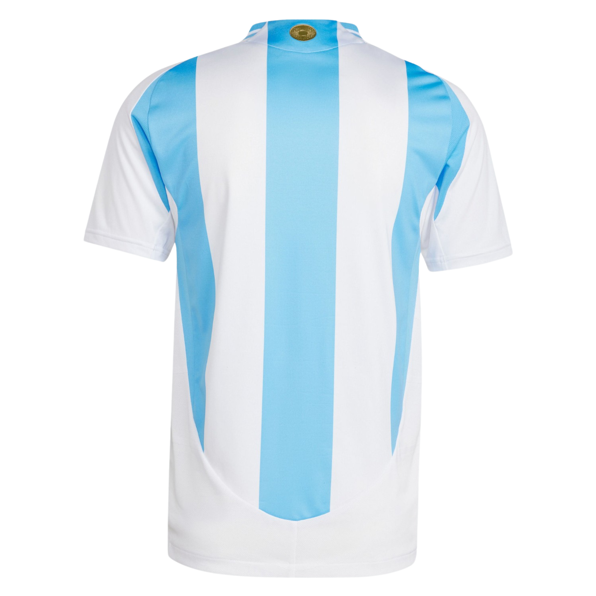 Jersey Argentina I 24/25 Fan