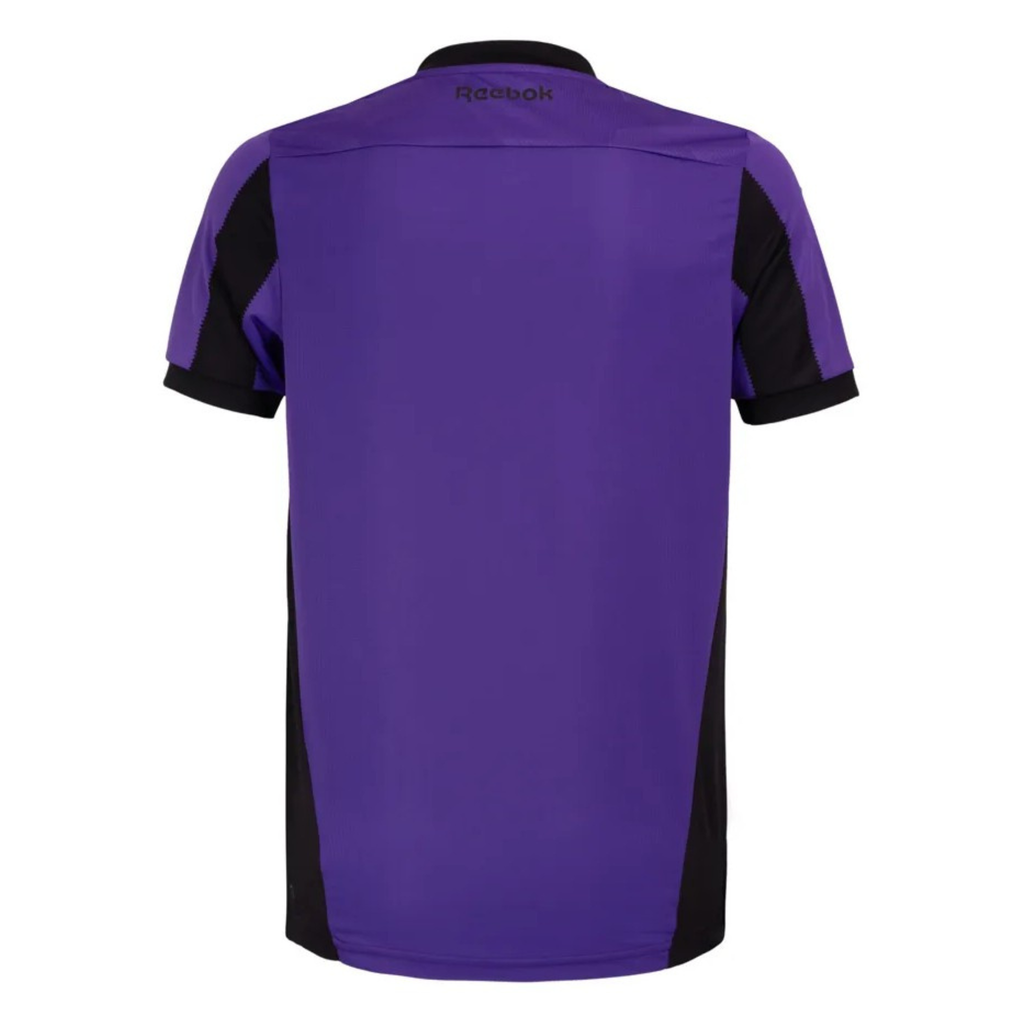 Jersey Botafogo Goalkeeper Roxa 24/25 Fan