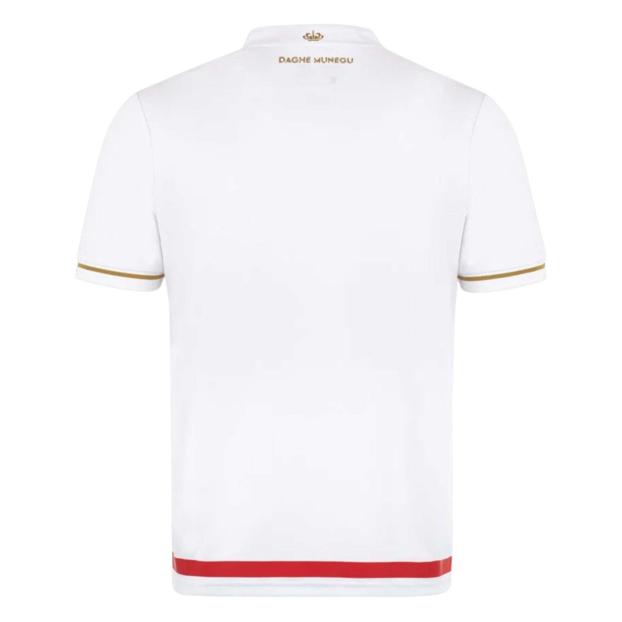 Jersey AS Monaco I 25/26 Fan
