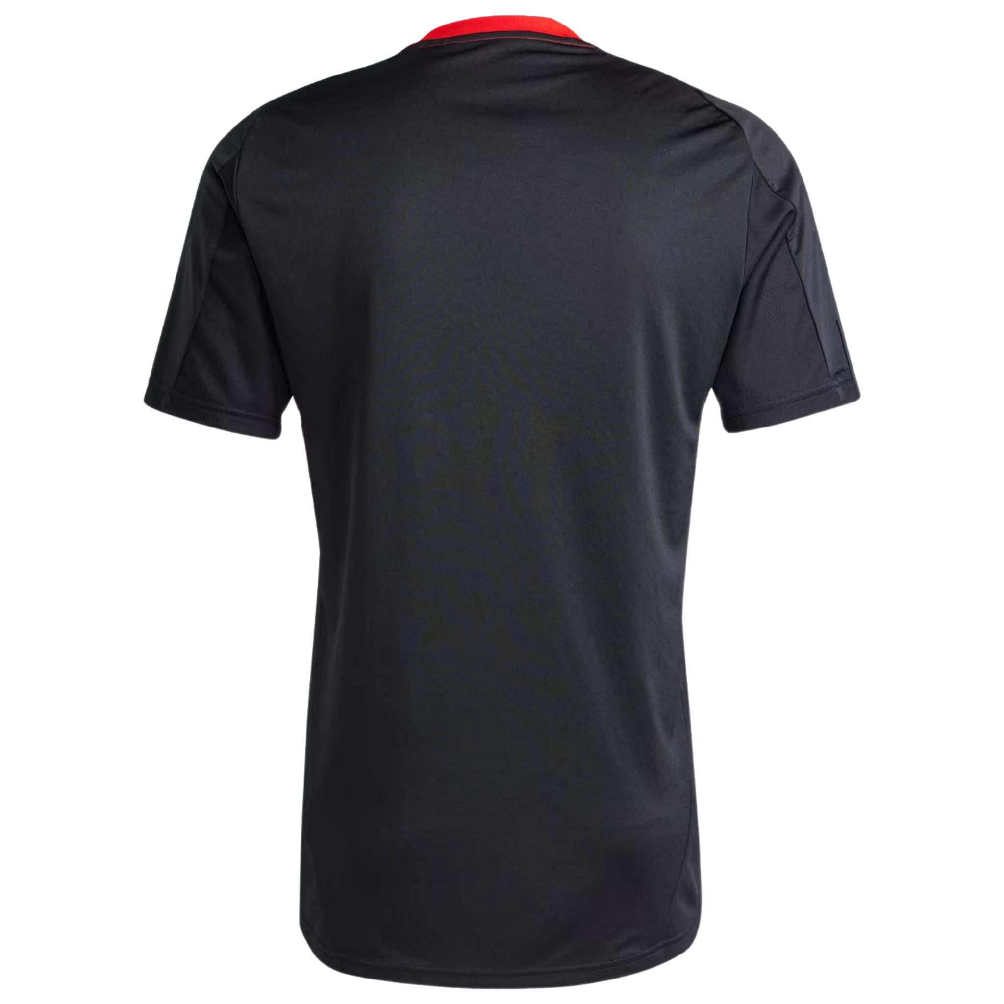 Jersey Internacional Training 25/26 Fan