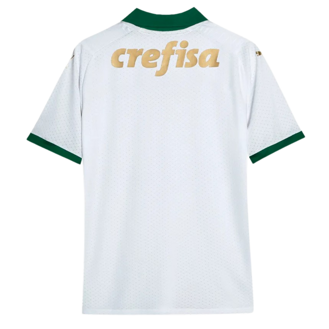 Camisa Palmeiras II 24/25 Torcedor