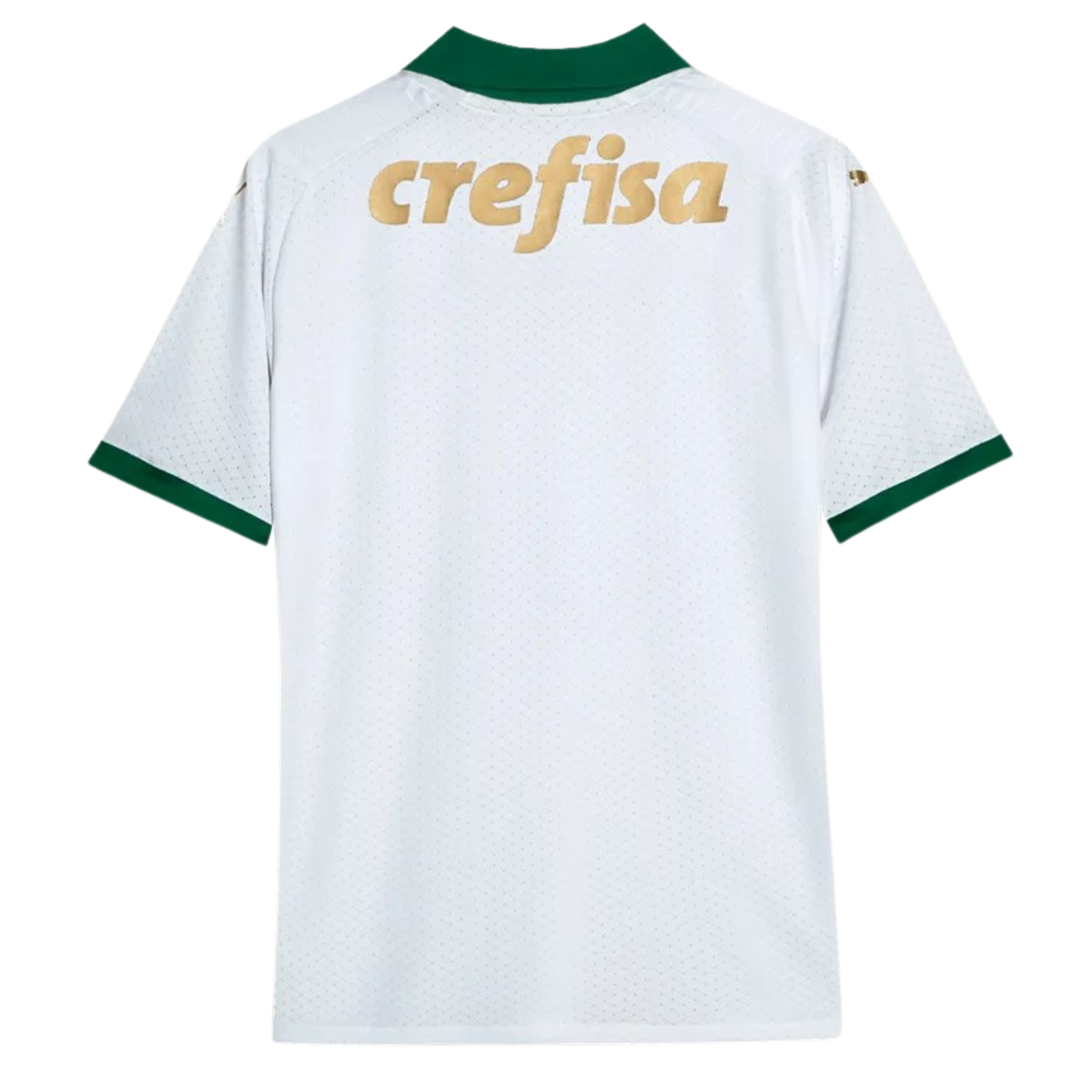 Jersey Palmeiras II 24/25 Fan