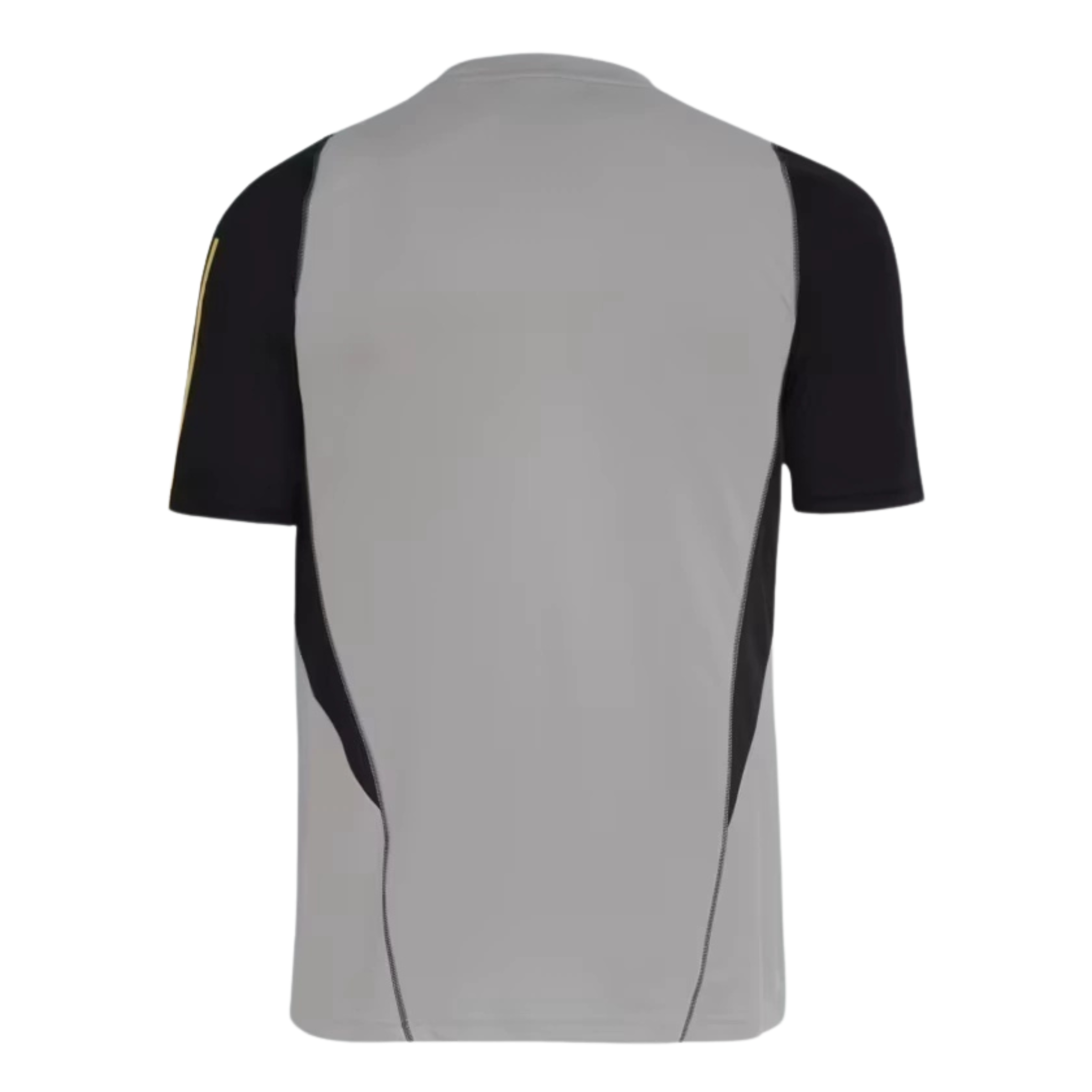 Jersey Flamengo Training II 24/25 Fan