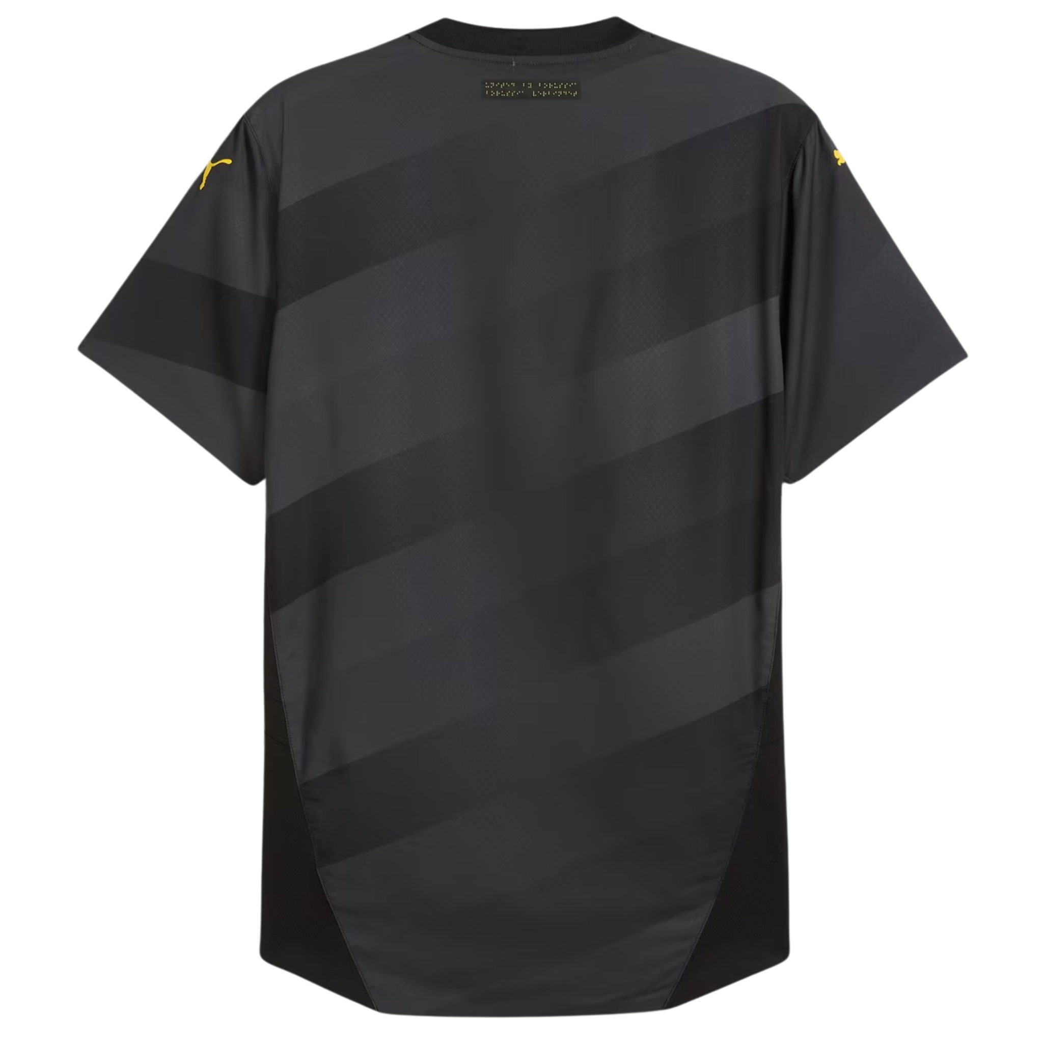 Jersey Borussia Dortmund II 24/25 Fan
