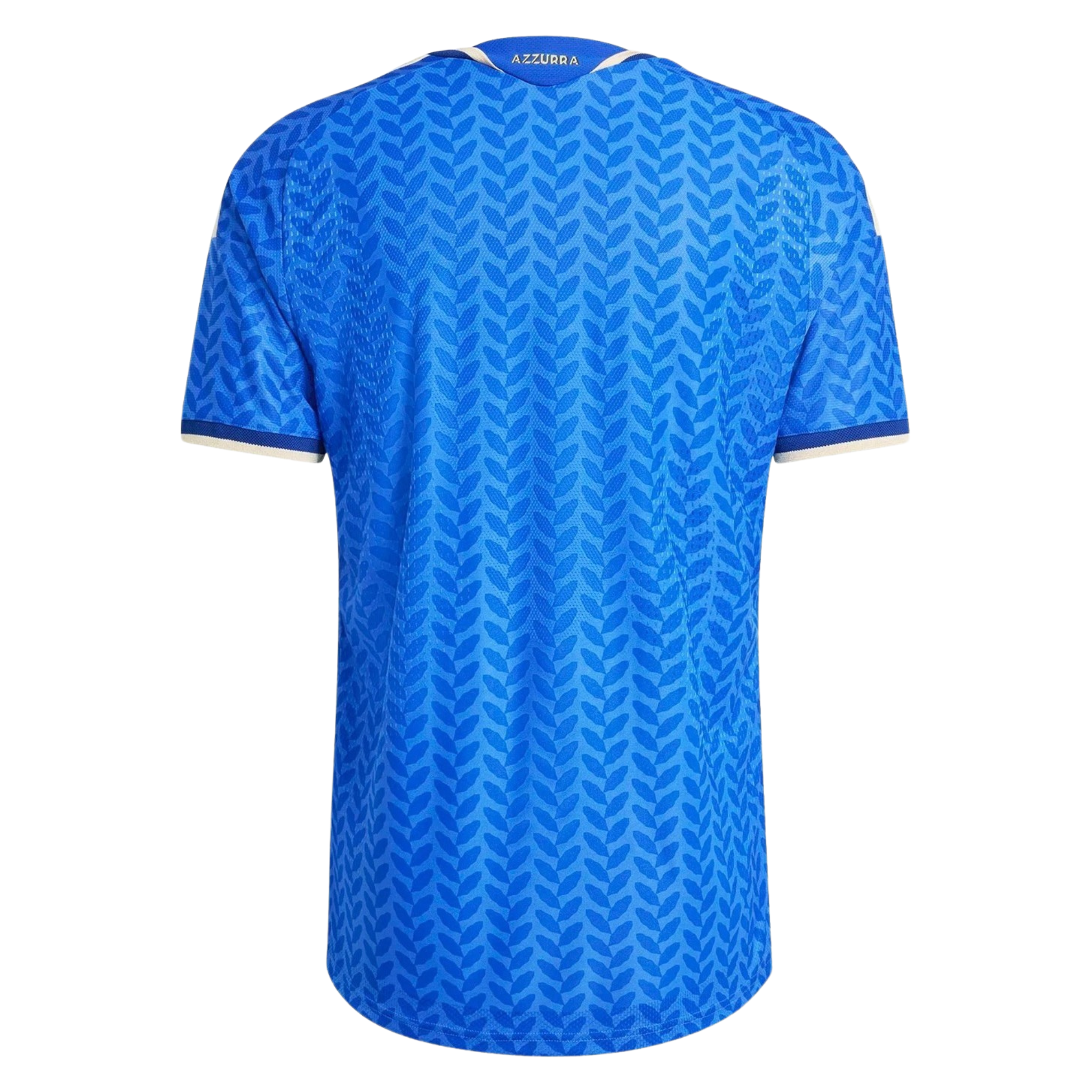 Jersey Italy I 2026 Fan