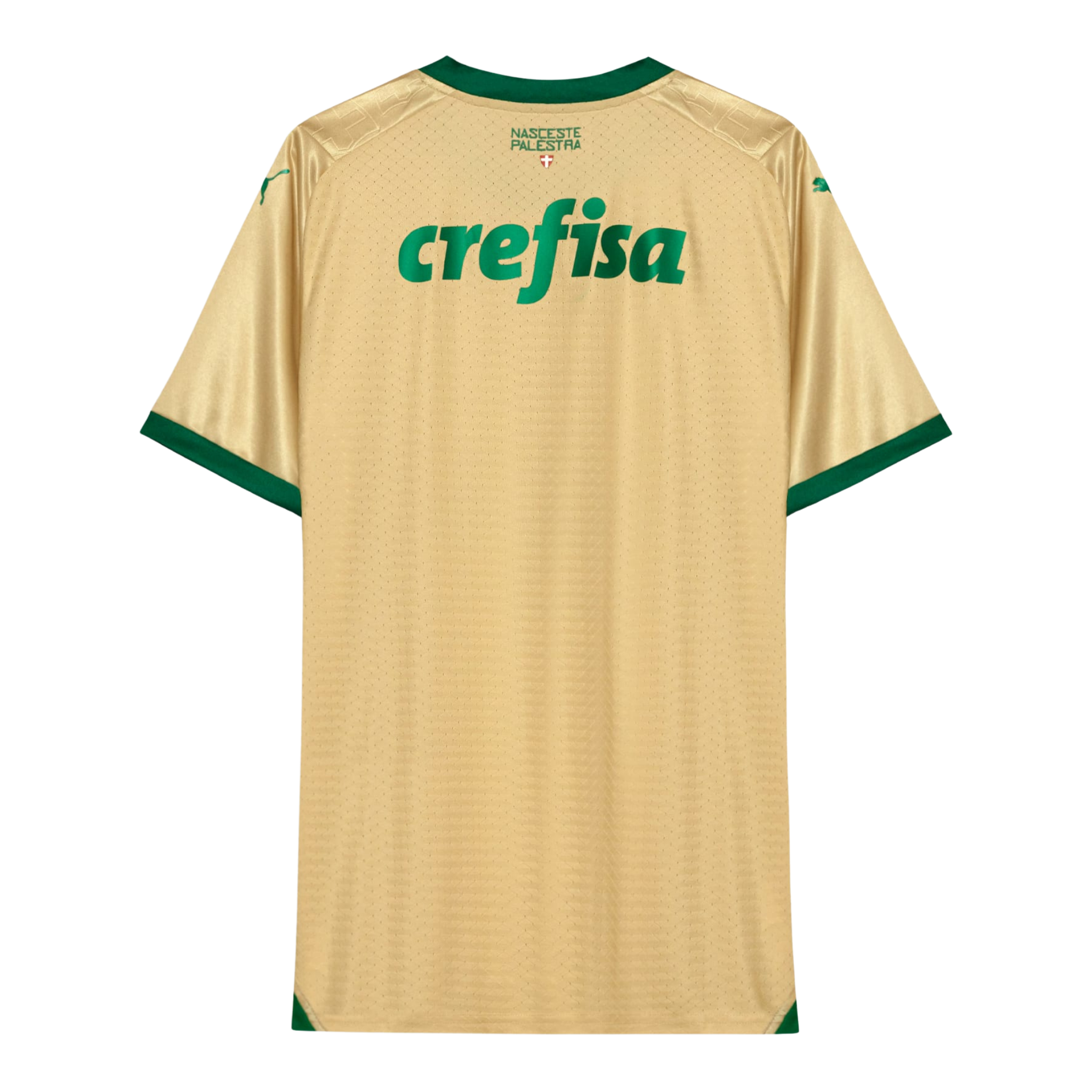 Jersey Palmeiras III 24/25 Fan