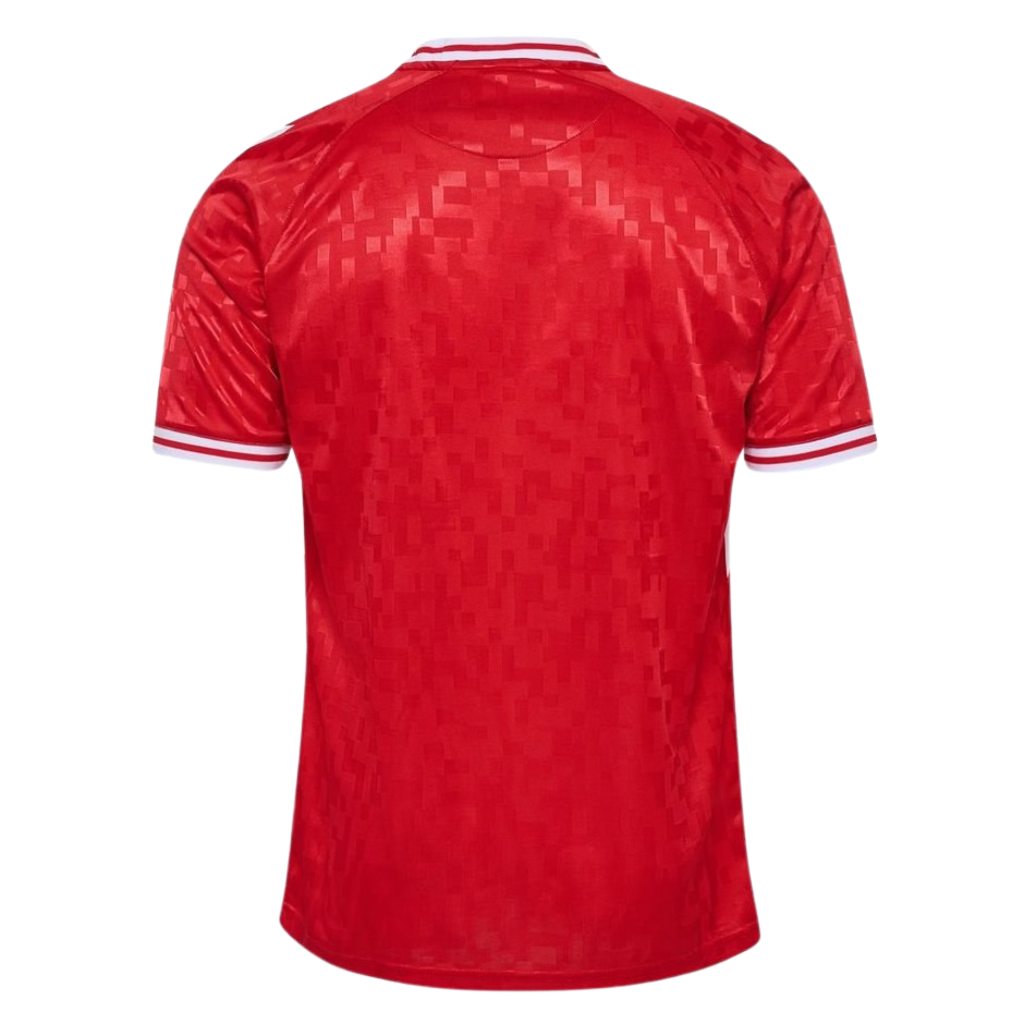 Jersey Denmark I 2024 Fan