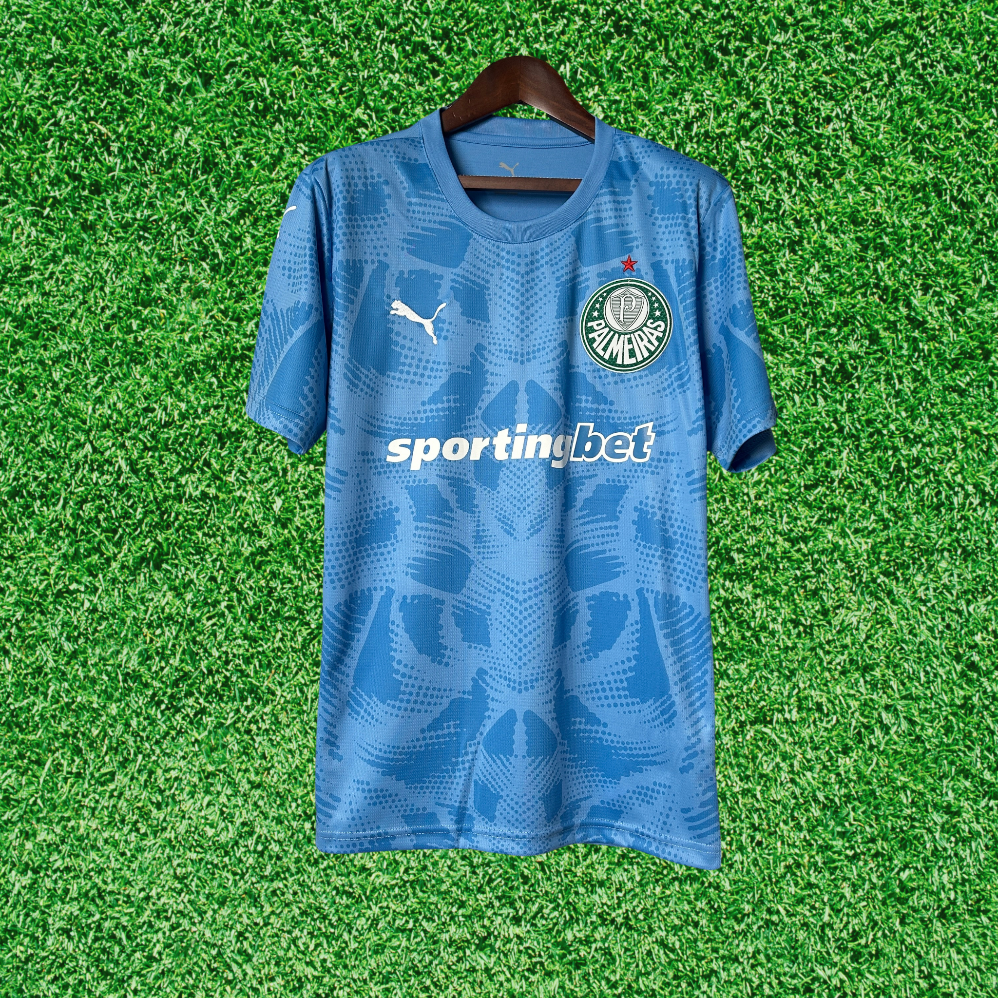 Jersey Palmeiras Goalkeeper I 25/26 Fan
