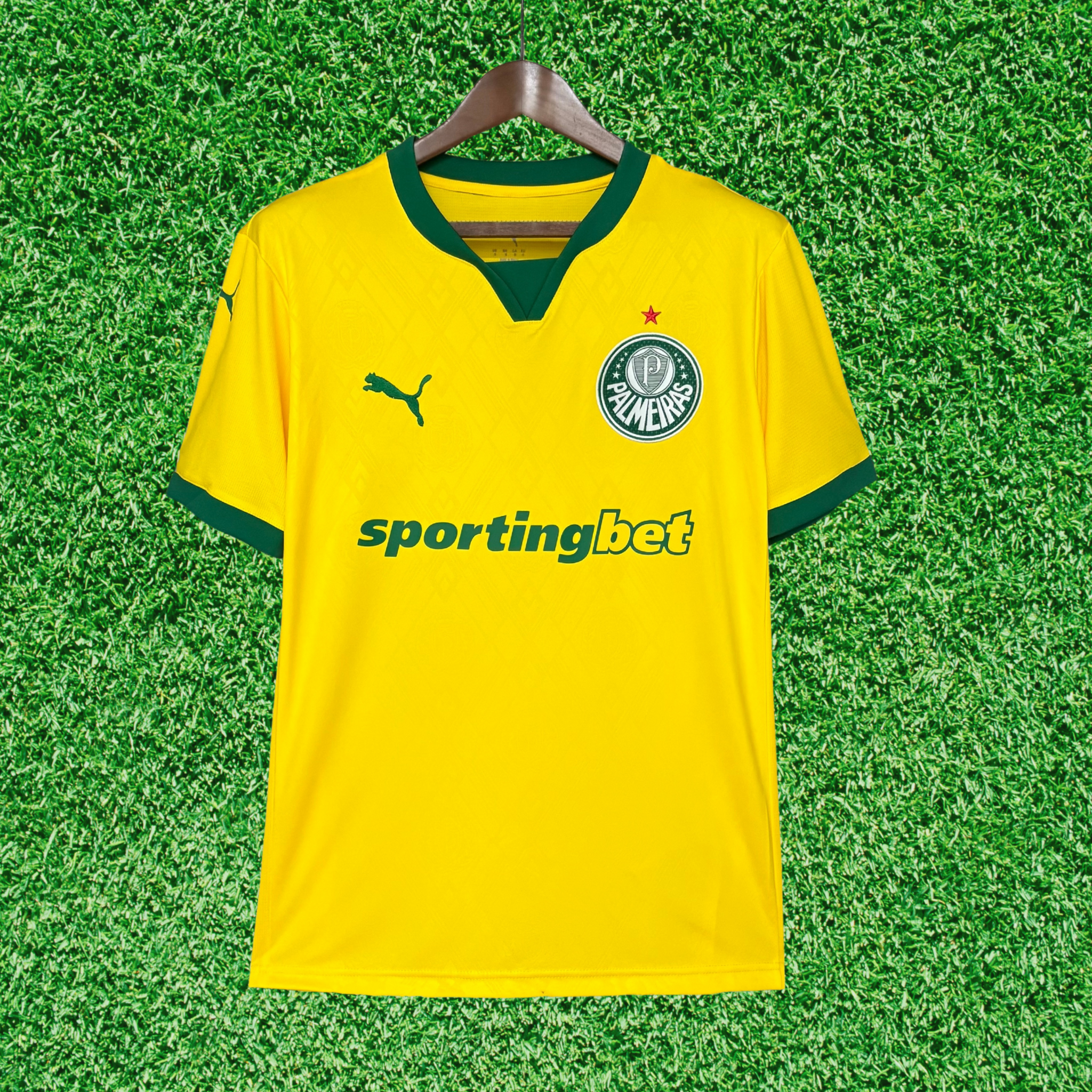 Jersey Palmeiras III 25/26 Fan