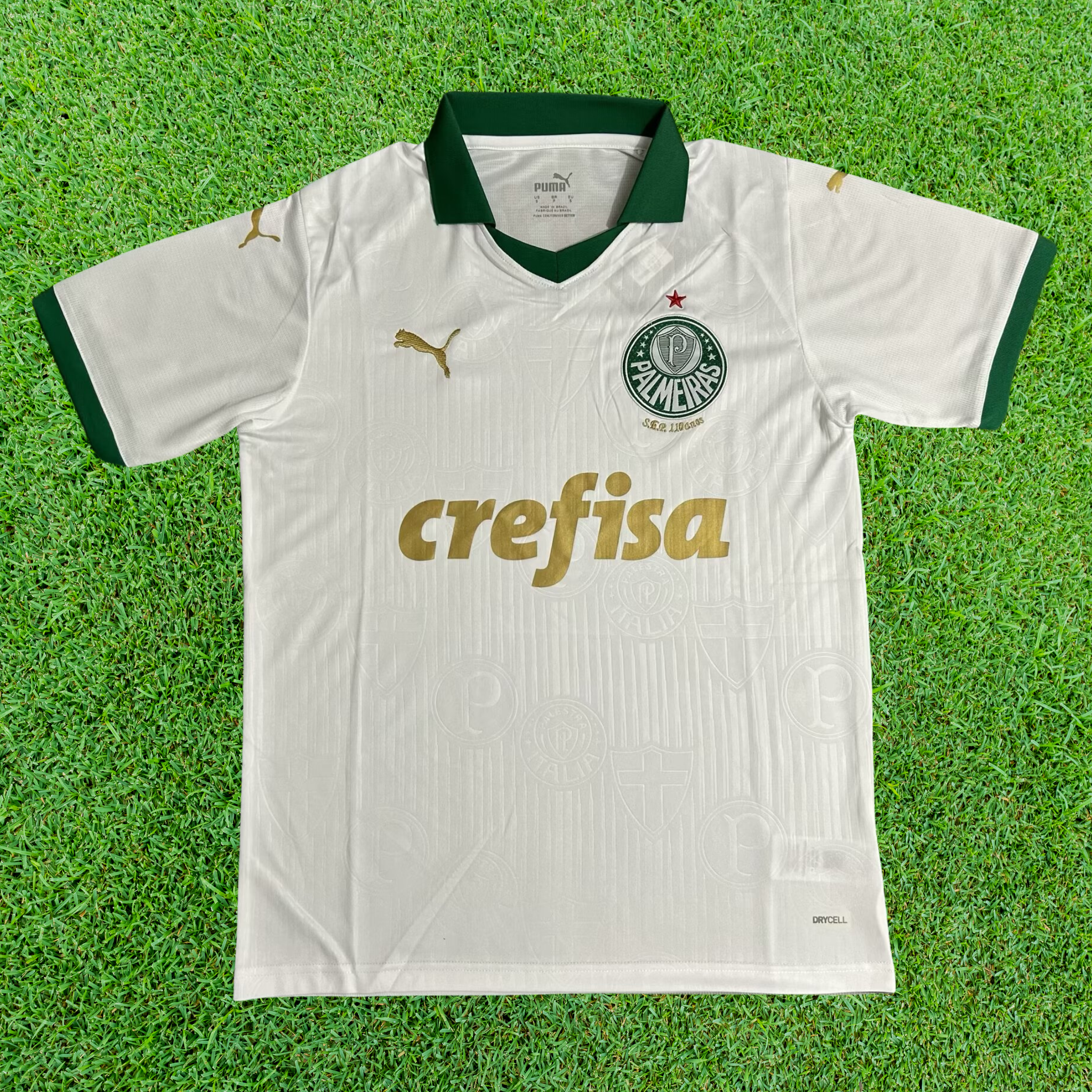 Jersey Palmeiras II 24/25 Fan