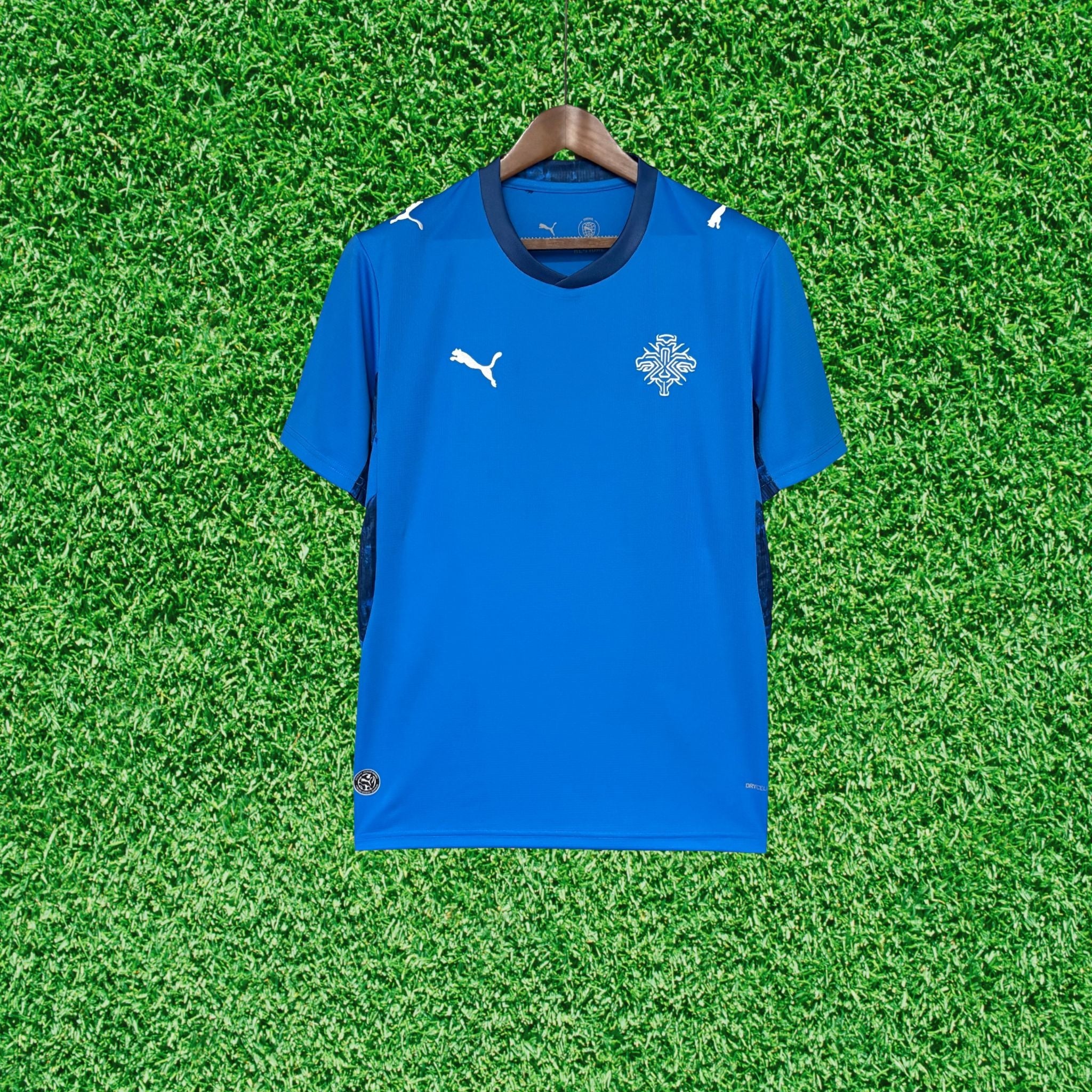 Jersey Iceland I 2026 Fan