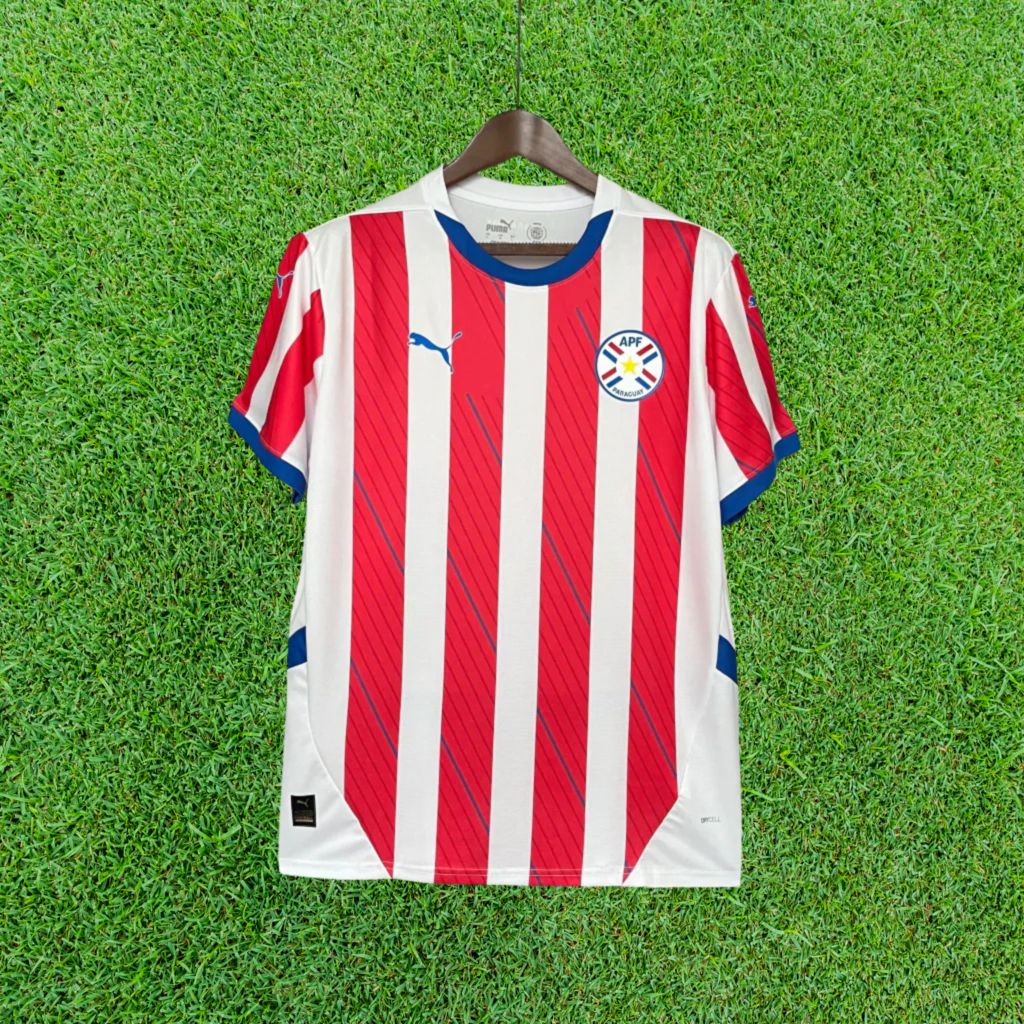 Jersey Paraguay I 2025 Fan