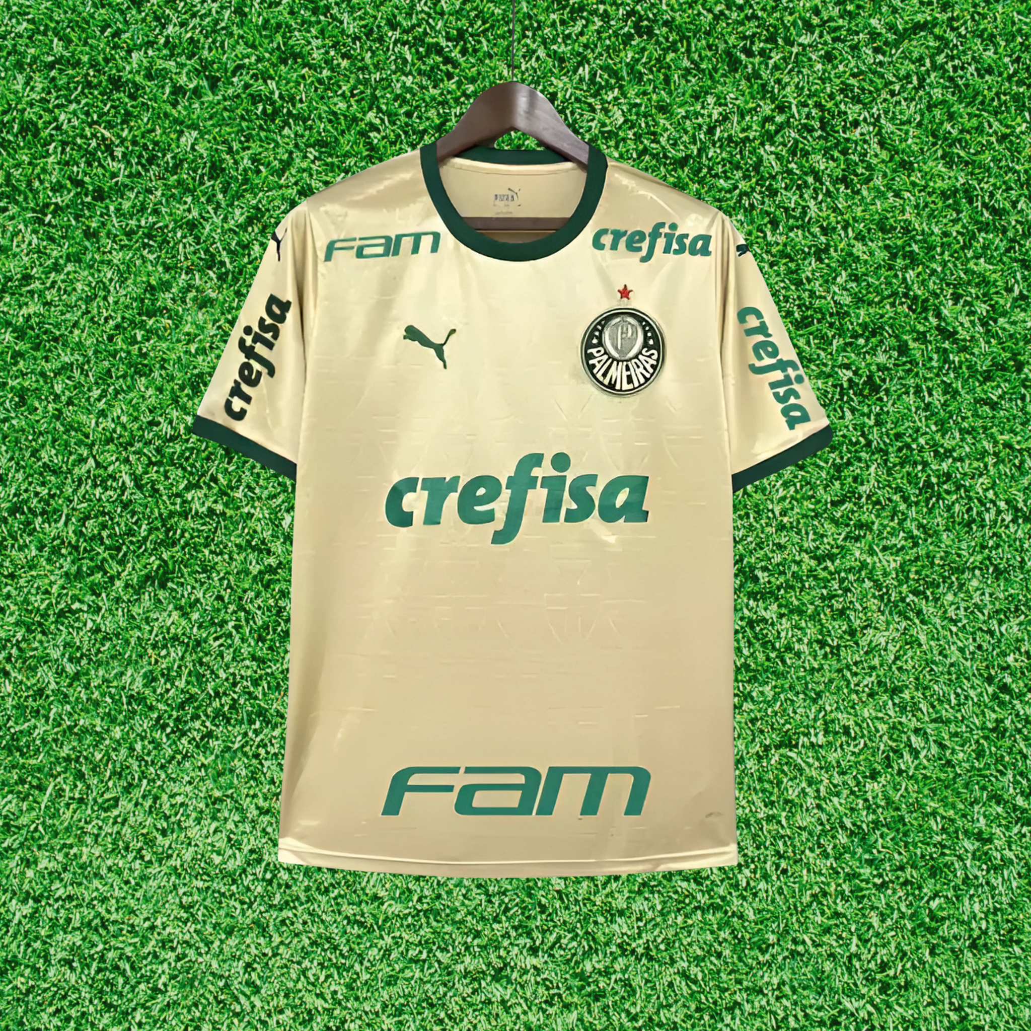 Jersey Palmeiras III 24/25 Fan